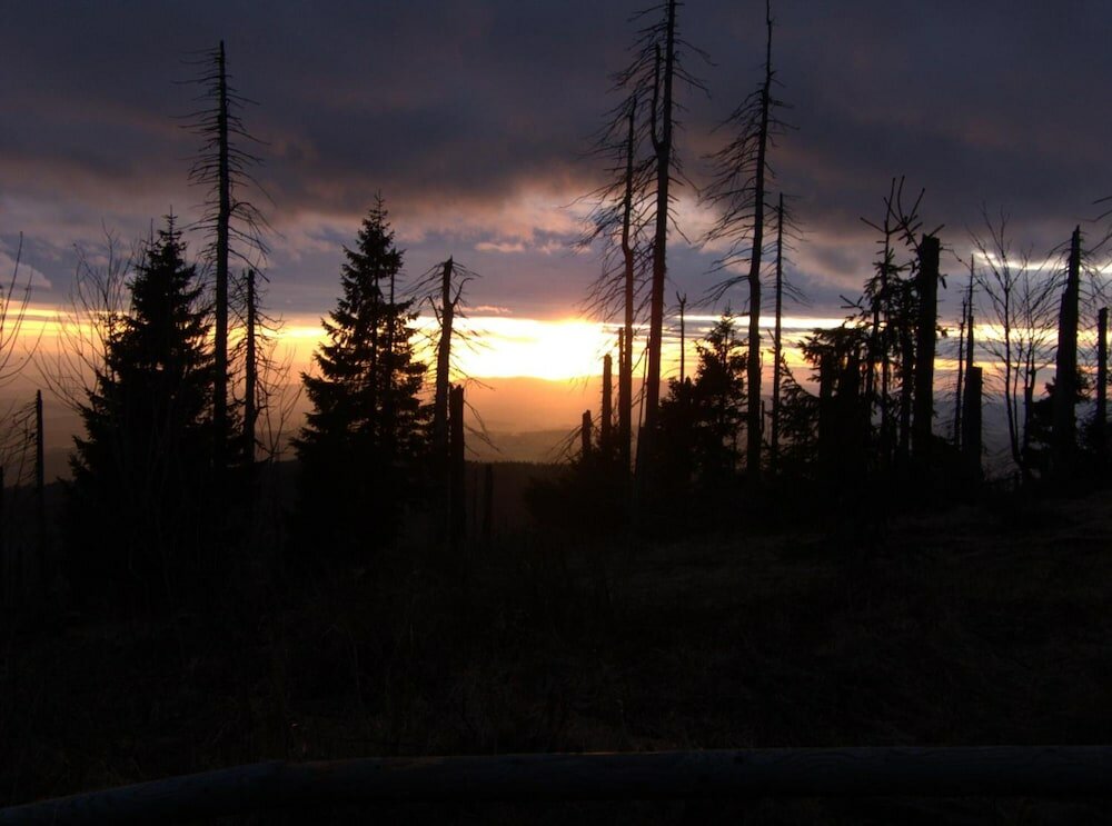 Фото Hotel Gasthaus Zum Kellermann