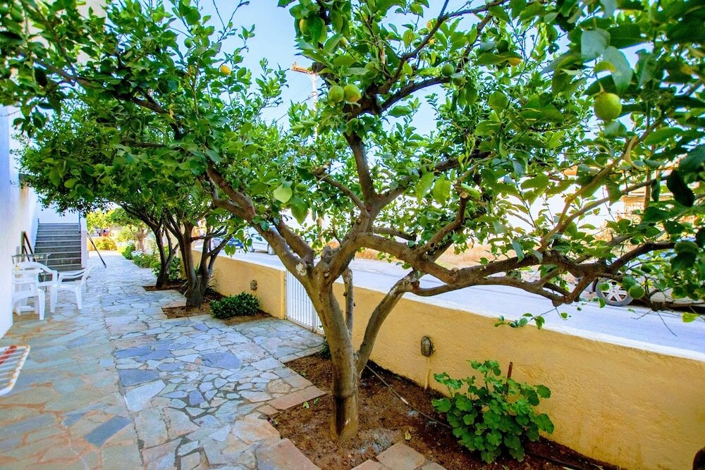 Фото Zygos Apartments