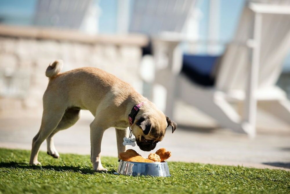 Фото Vespera Resort on Pismo Beach, Autograph Collection