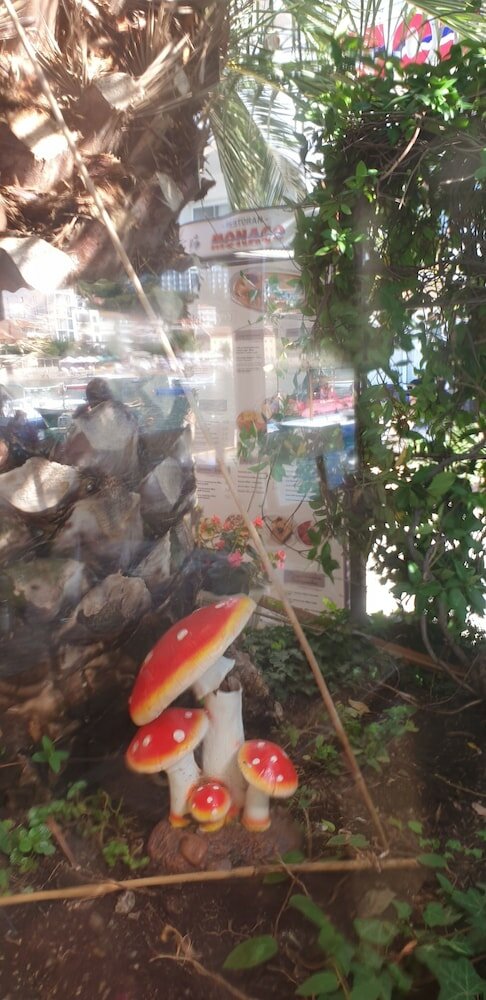 Фото Апартаменты Stevic Monaco