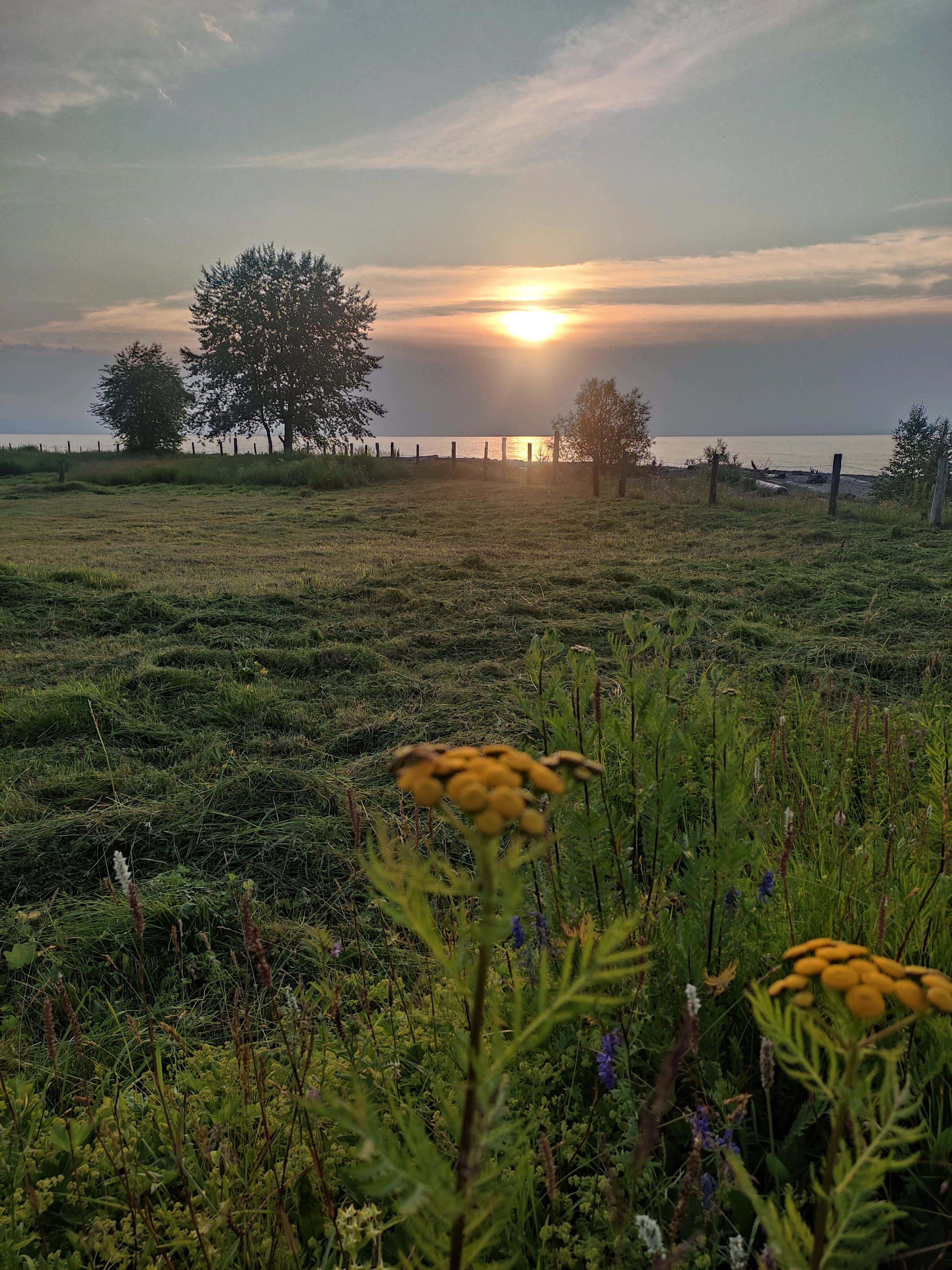 Фото Бурундуки