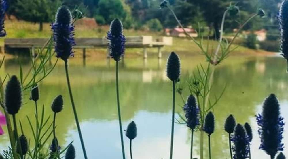 Фото Cabañas Sierra del Tecuan