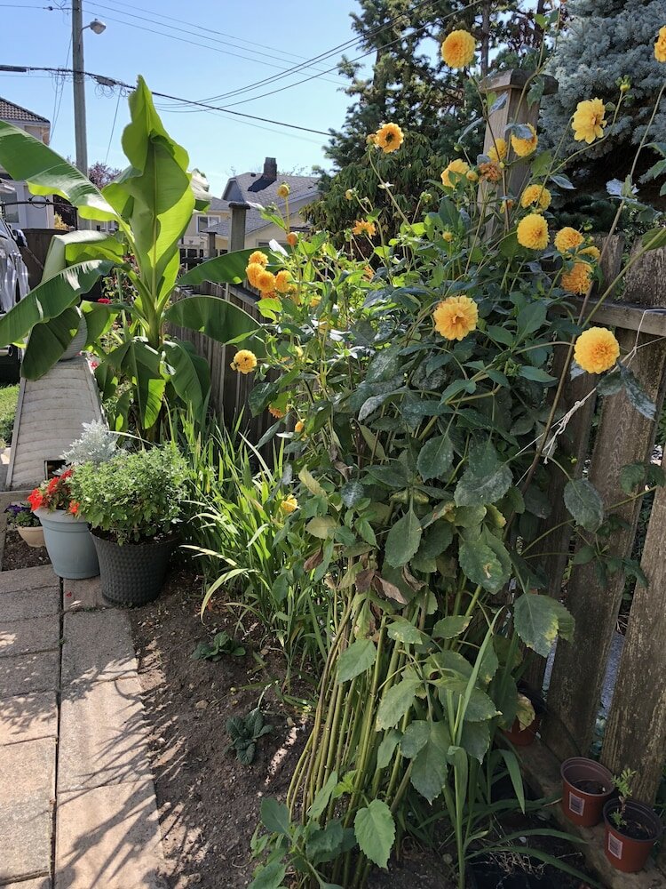 Фото Cozy Bedrooms Guest House