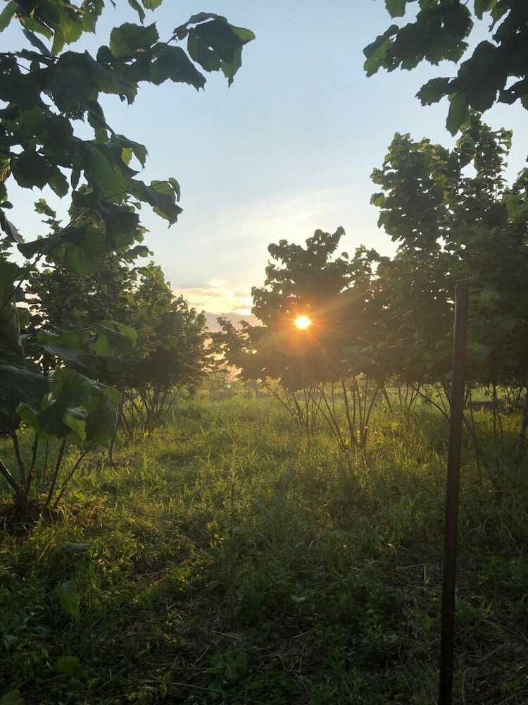 Фото 224496578260