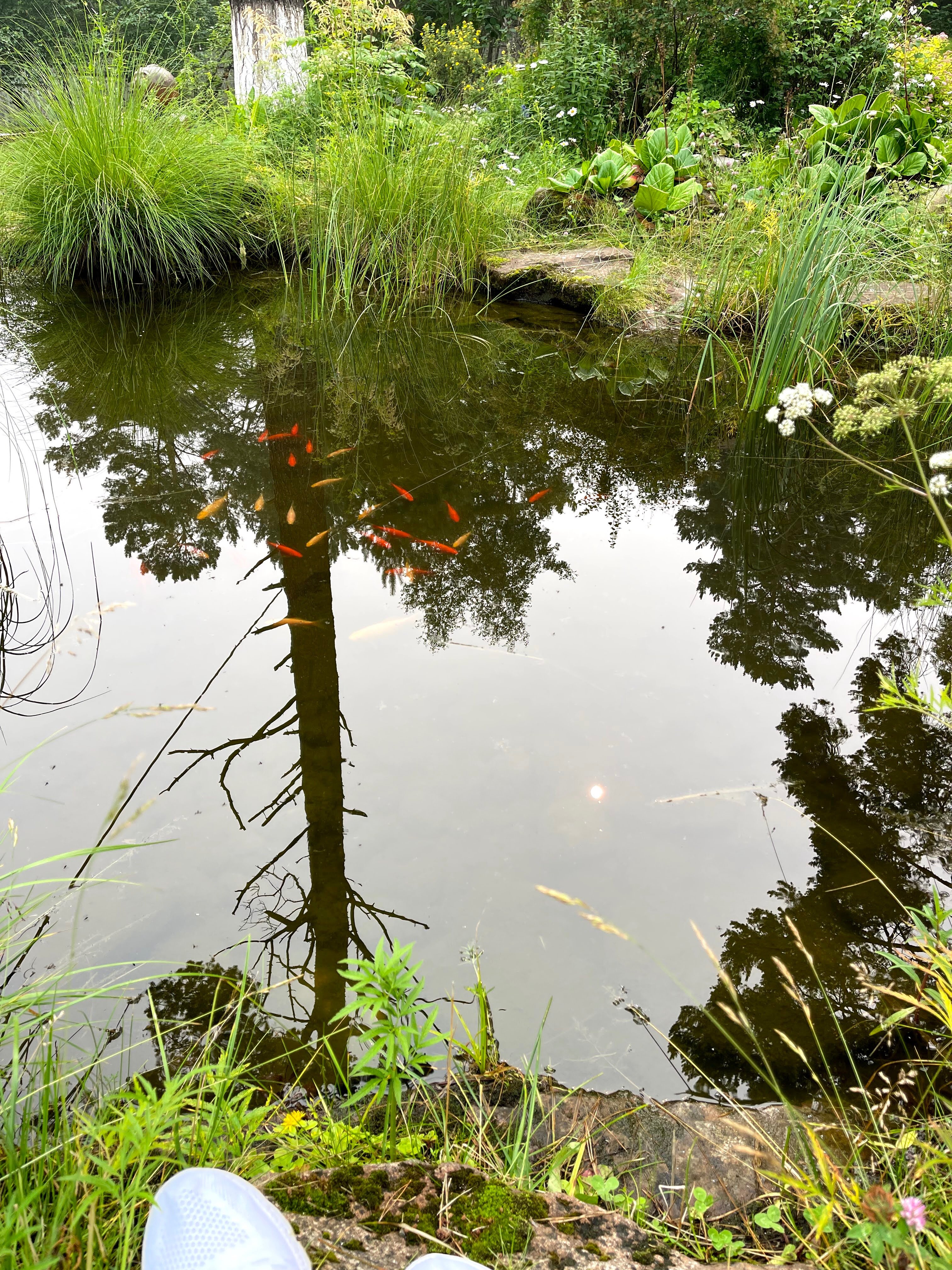 Фото Натали