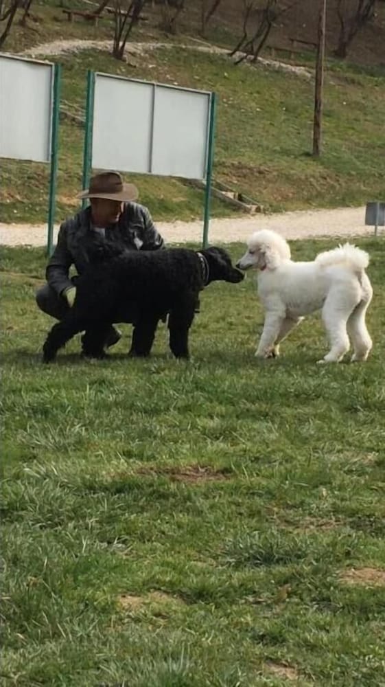 Фото Apartment Red House