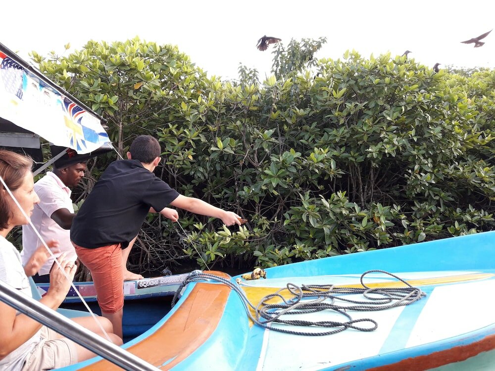 Фото Nico Lagoon Hotel