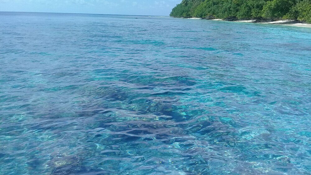 Фото Chill Holiday Maldives