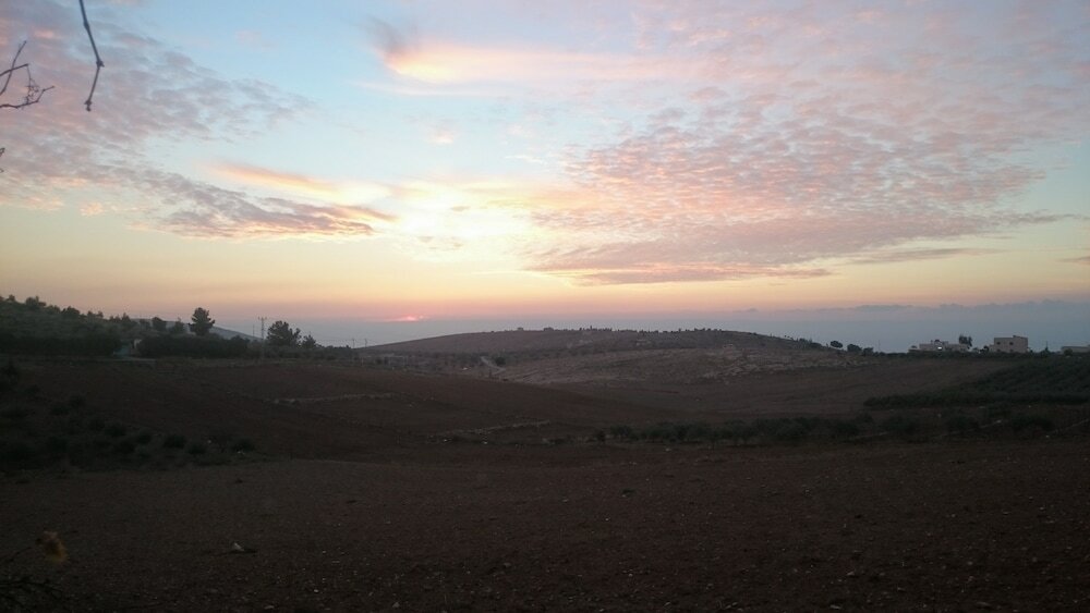 Фото Town of Nebo Hotel