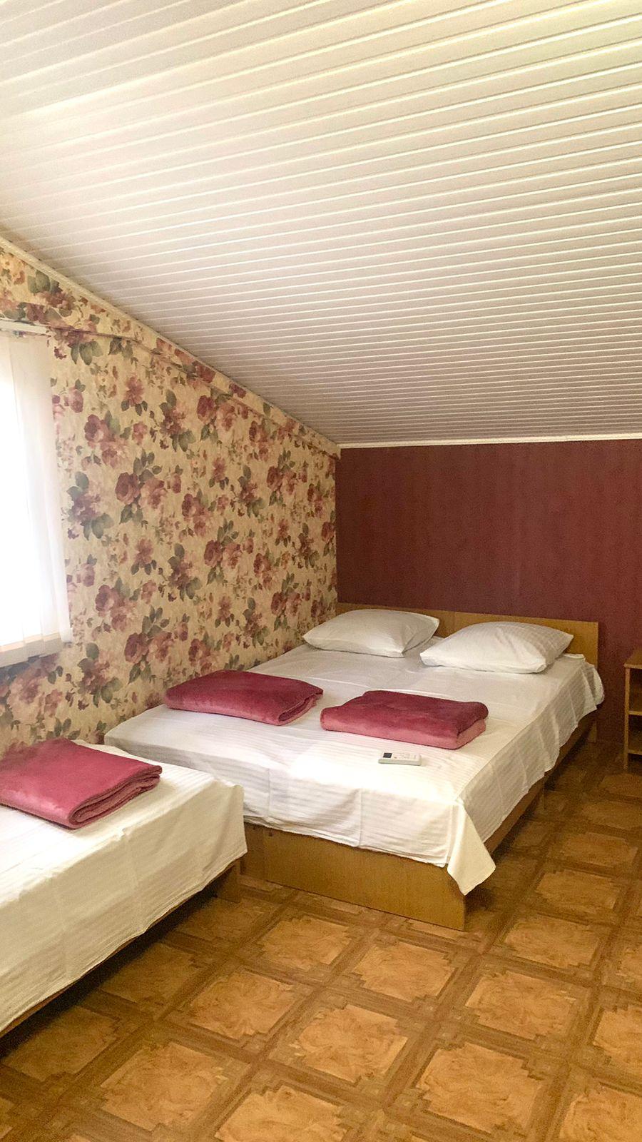 Фото Сакура