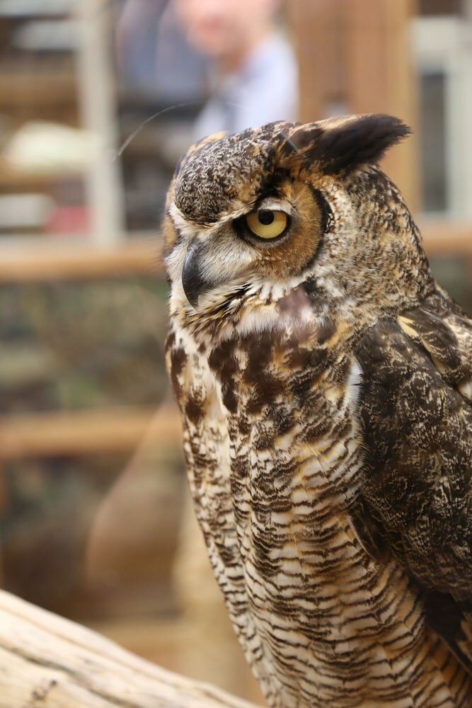 Фото Courtyard by Marriott Mobile Daphne Eastern Shore