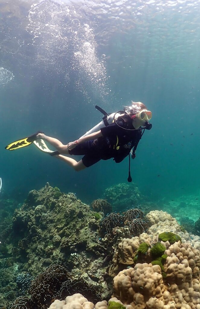 Dalış kulüpleri ve eğitim merkezleri Crazy Frog Diving, , foto