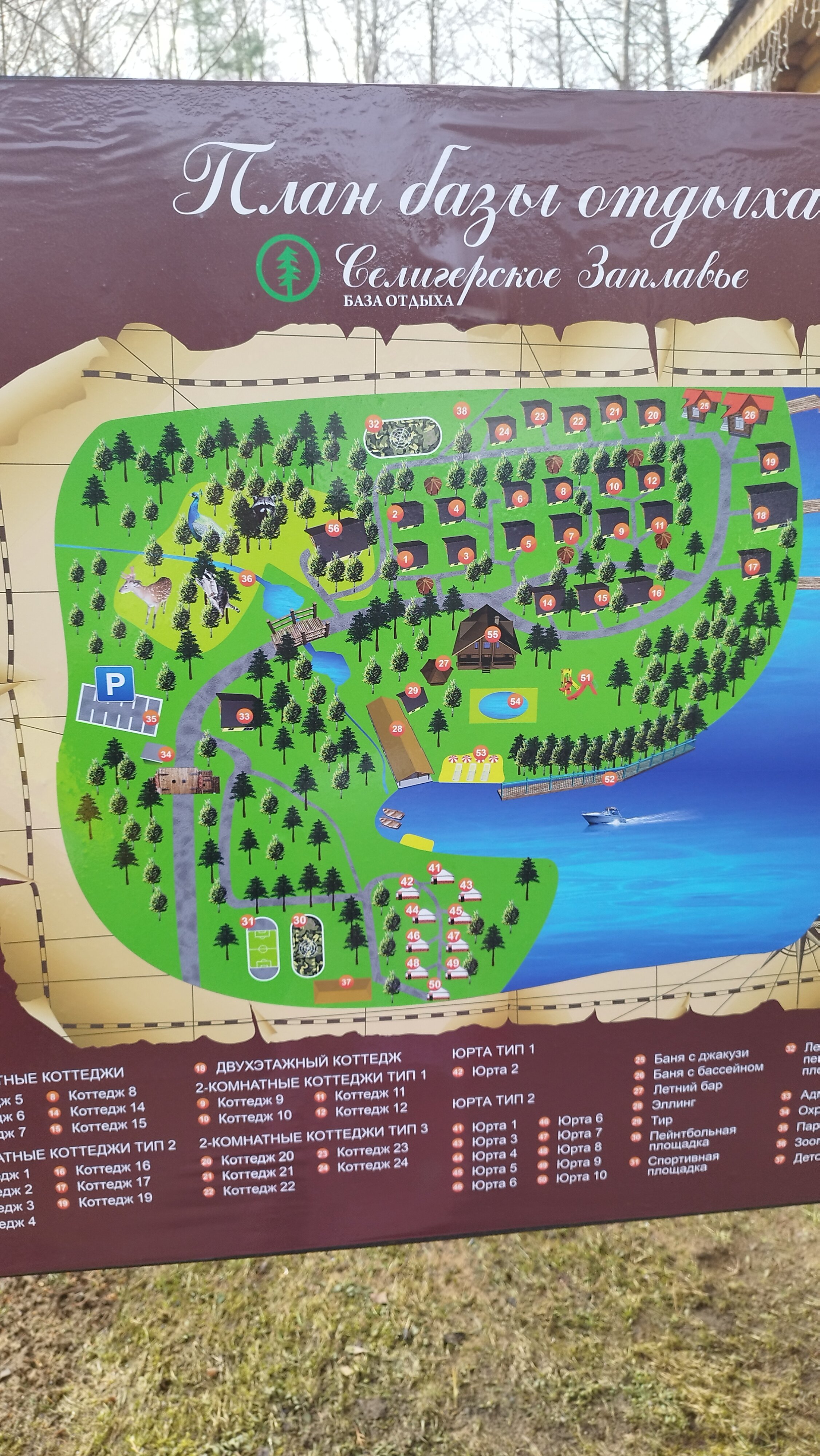 Фото Селигерское Заплавье