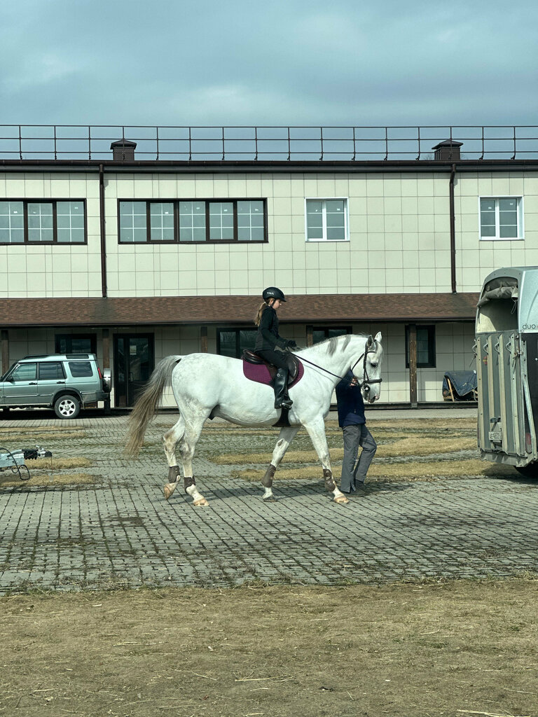 Конный клуб Конно-спортивный комплекс Ренессанс, Калужская область, фото