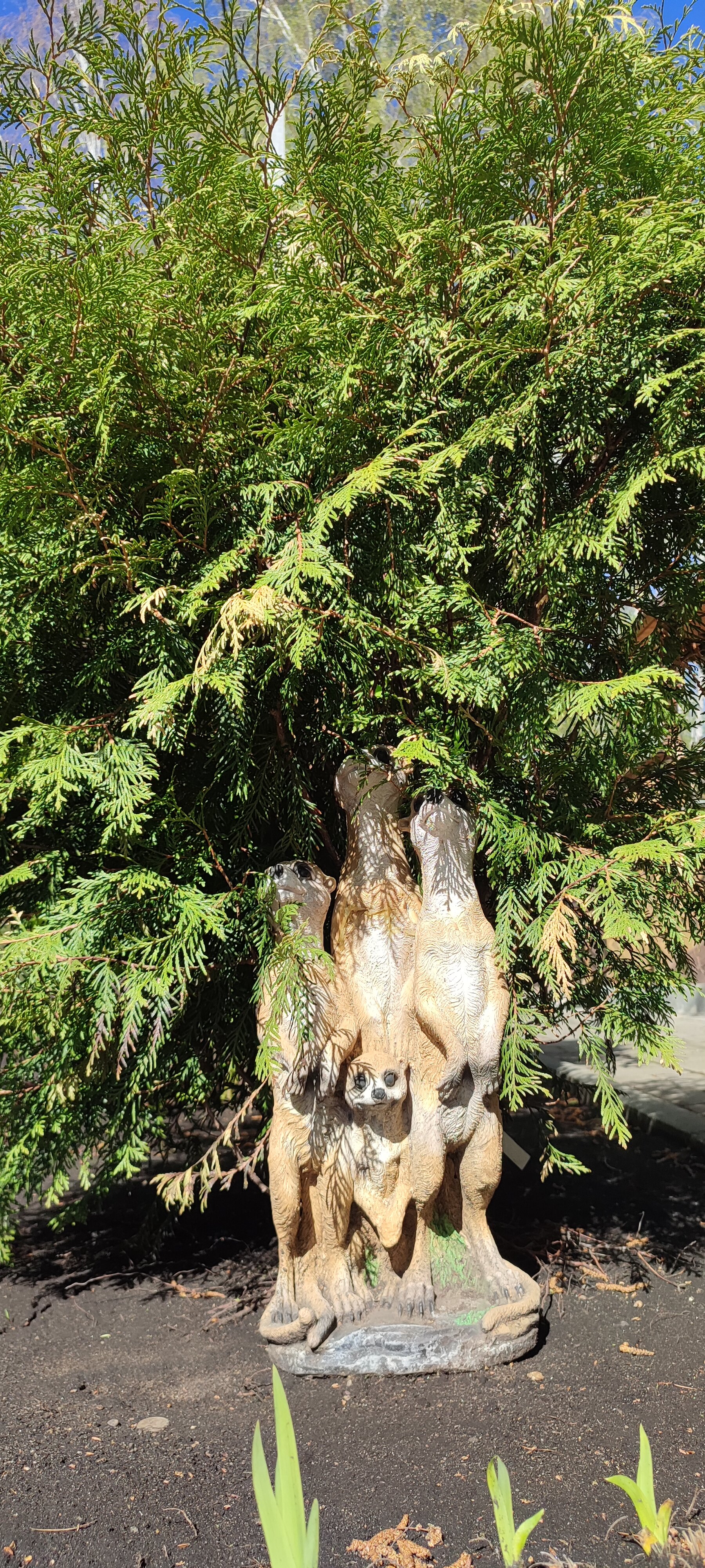 Фото Хутор Увильды