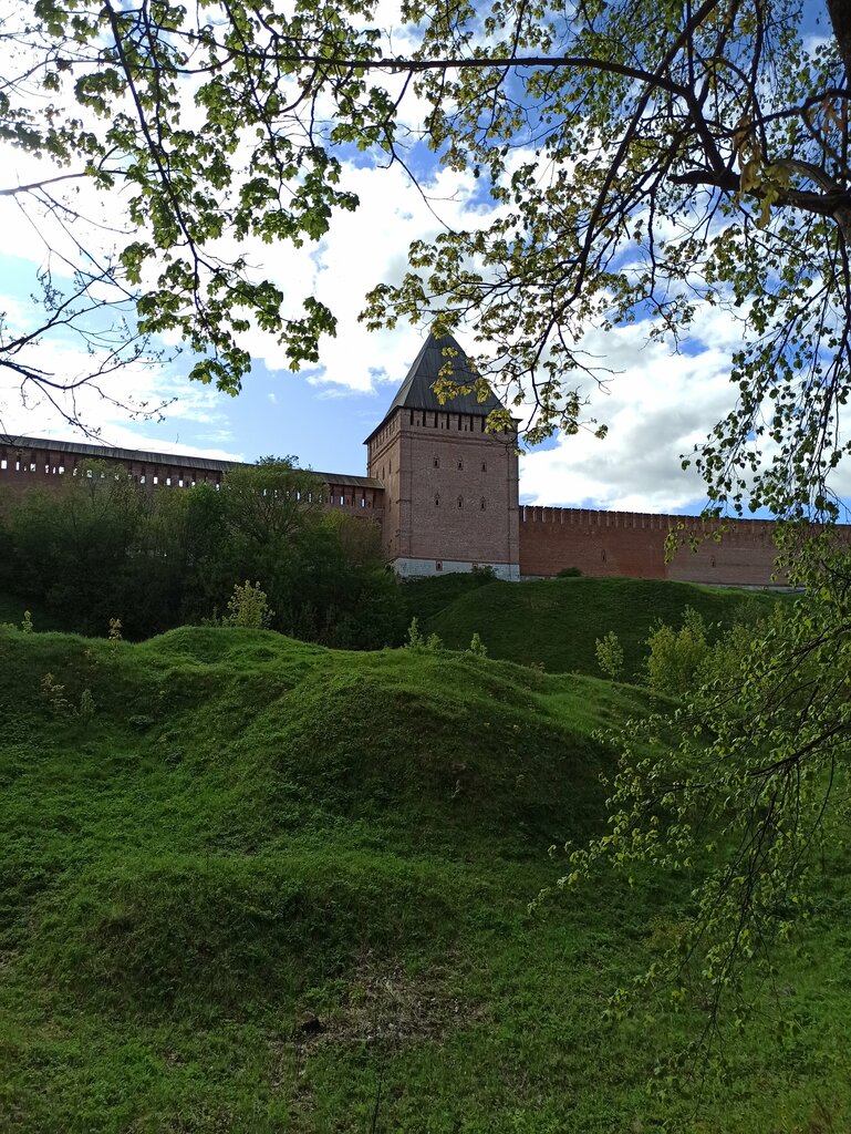Достопримечательность Смоленская крепостная стена, Смоленск, фото