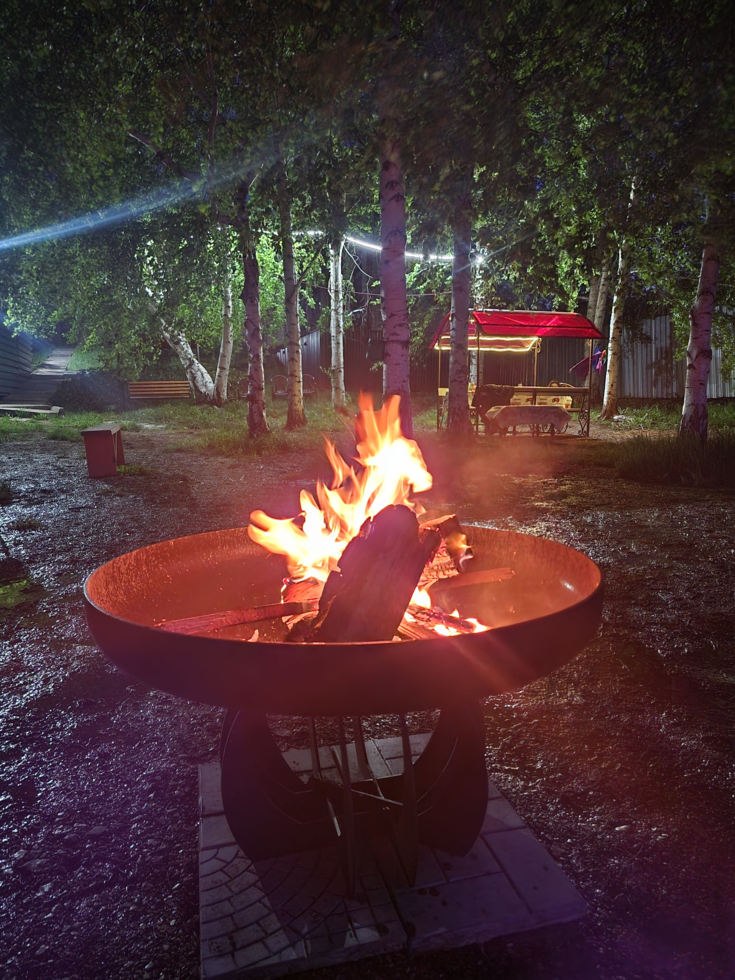 Фото Берёзка Кандрыкуль