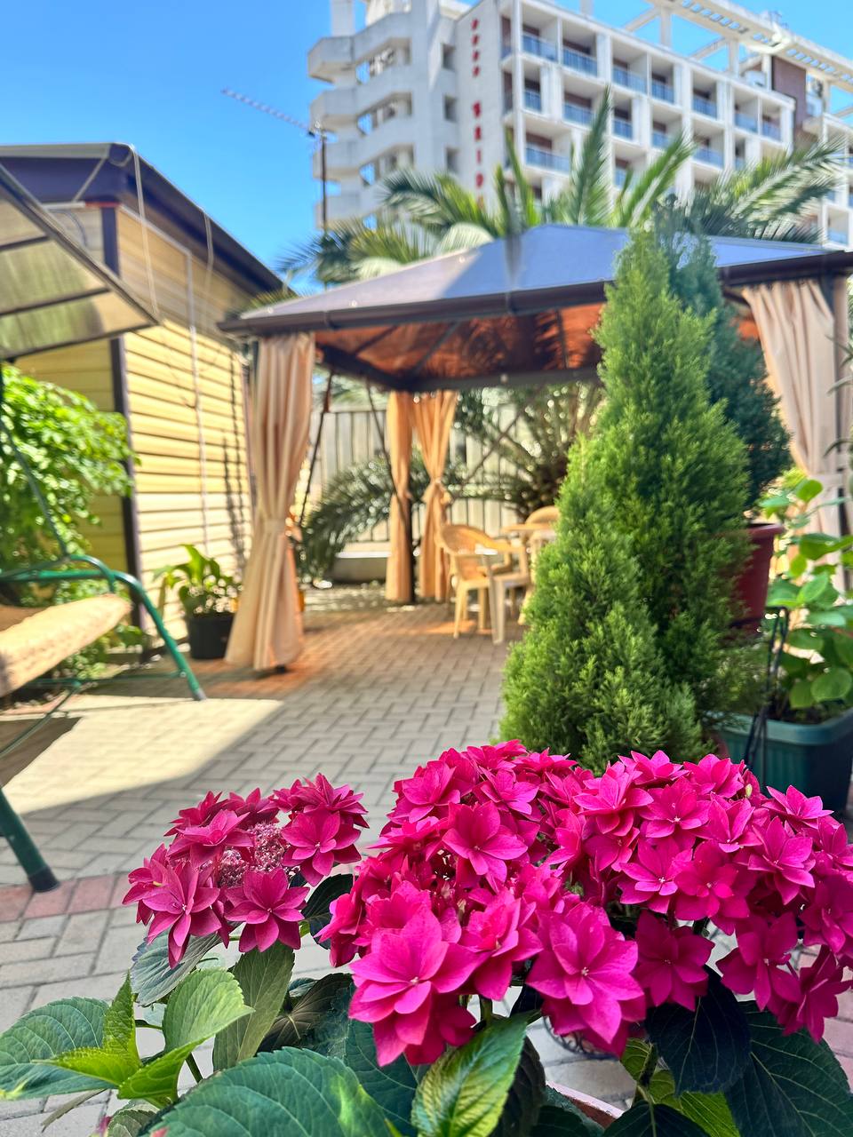 Фото Фортуна