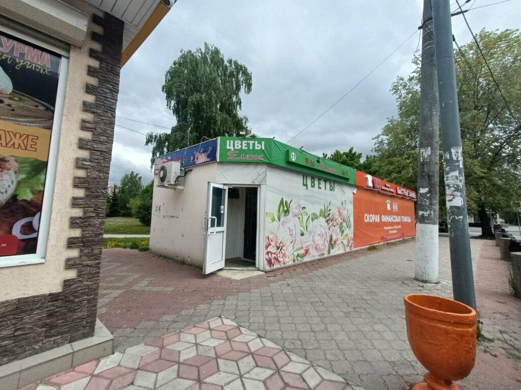 Flowers and bouquets delivery Елена, Togliatti, photo