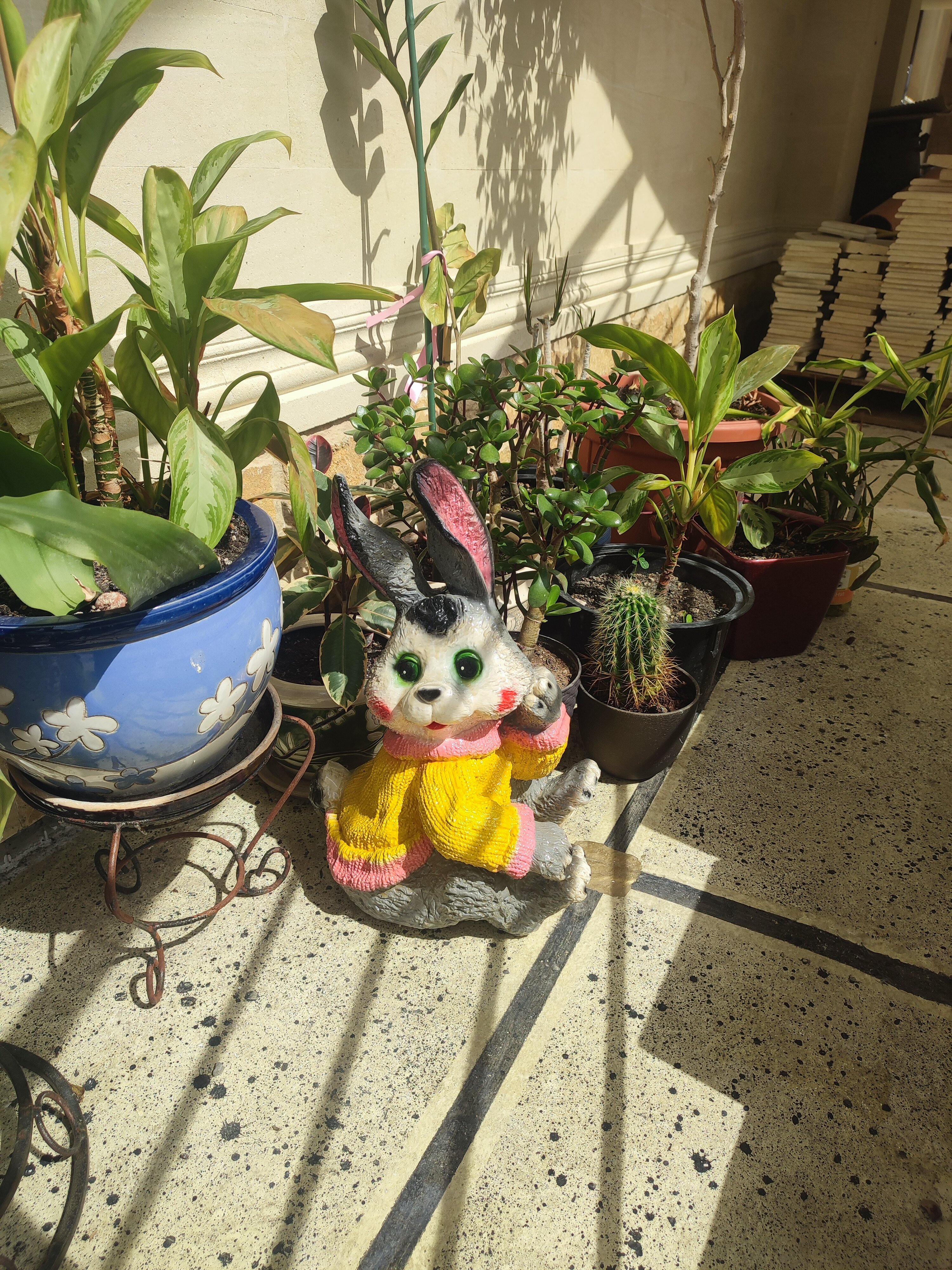 Фото Рай в Горном Воздухе