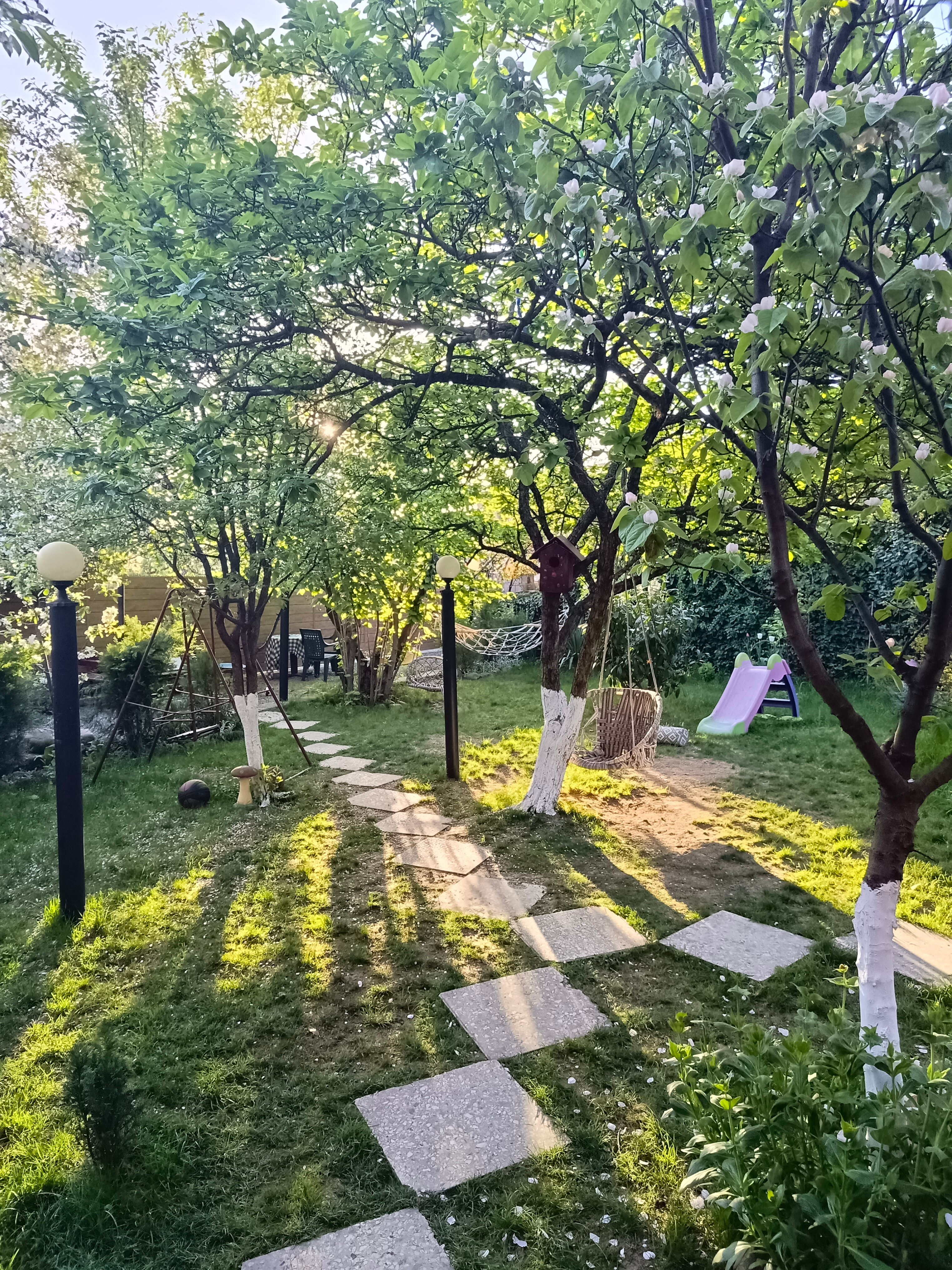 Фото Полиглоты