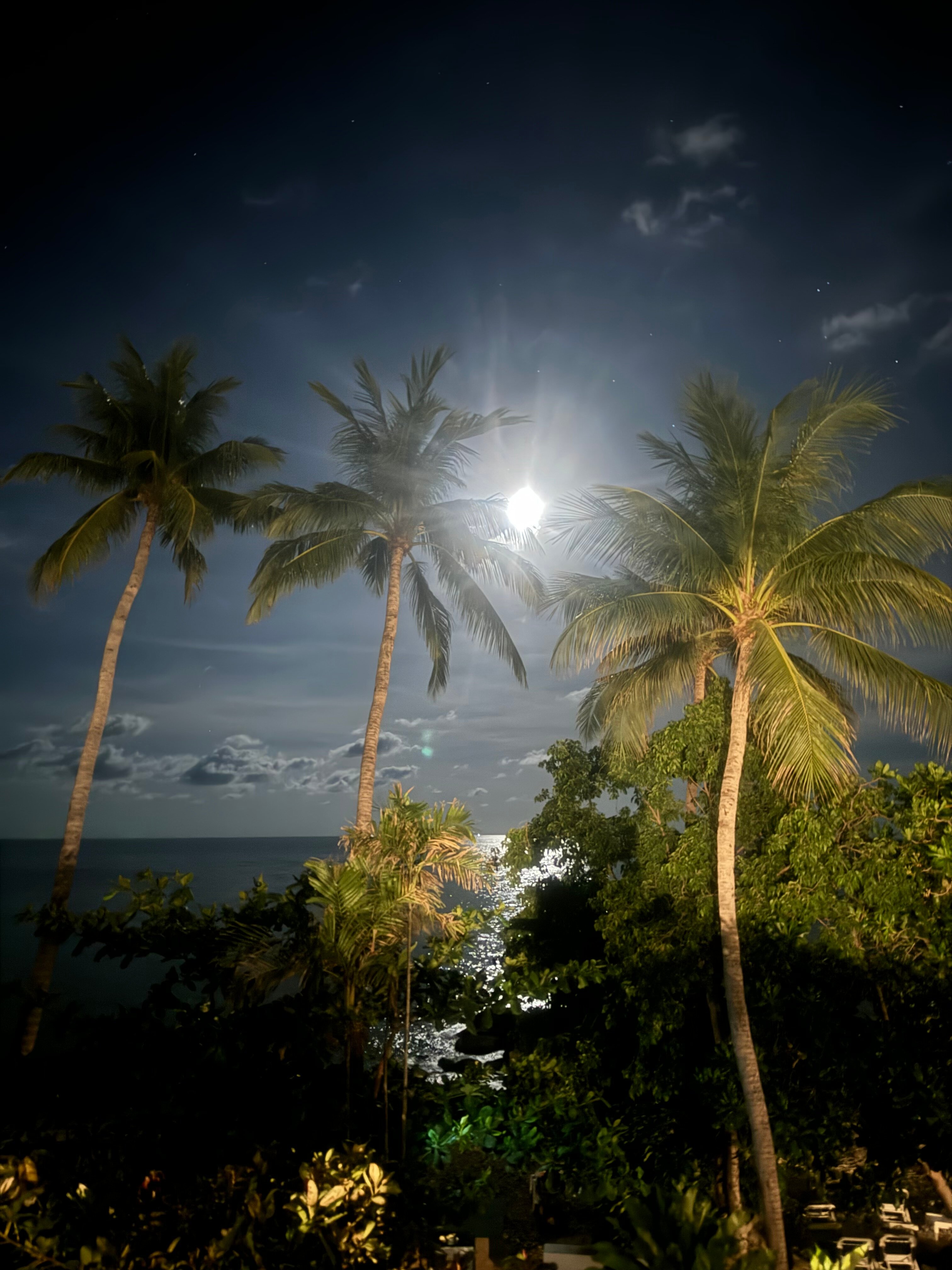 Фото Centara Villas Samui