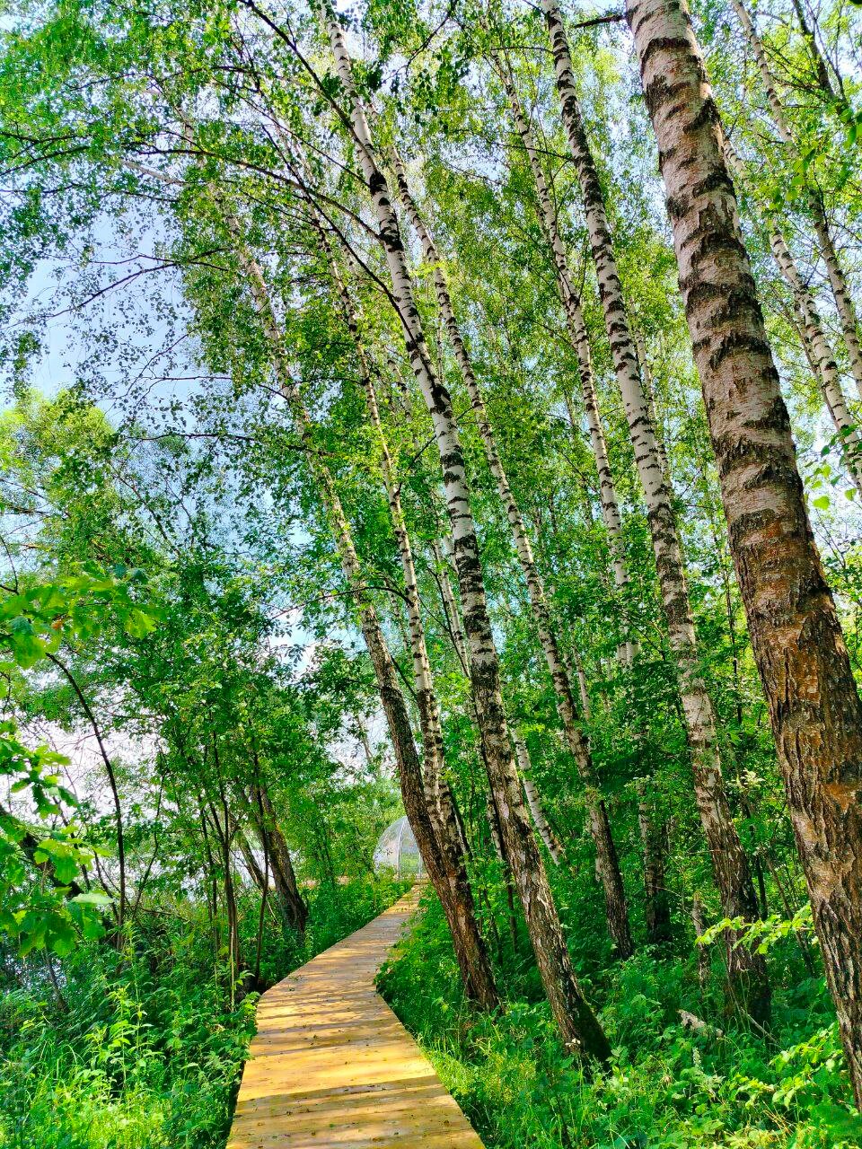 Фото Глэмпинг Ильино