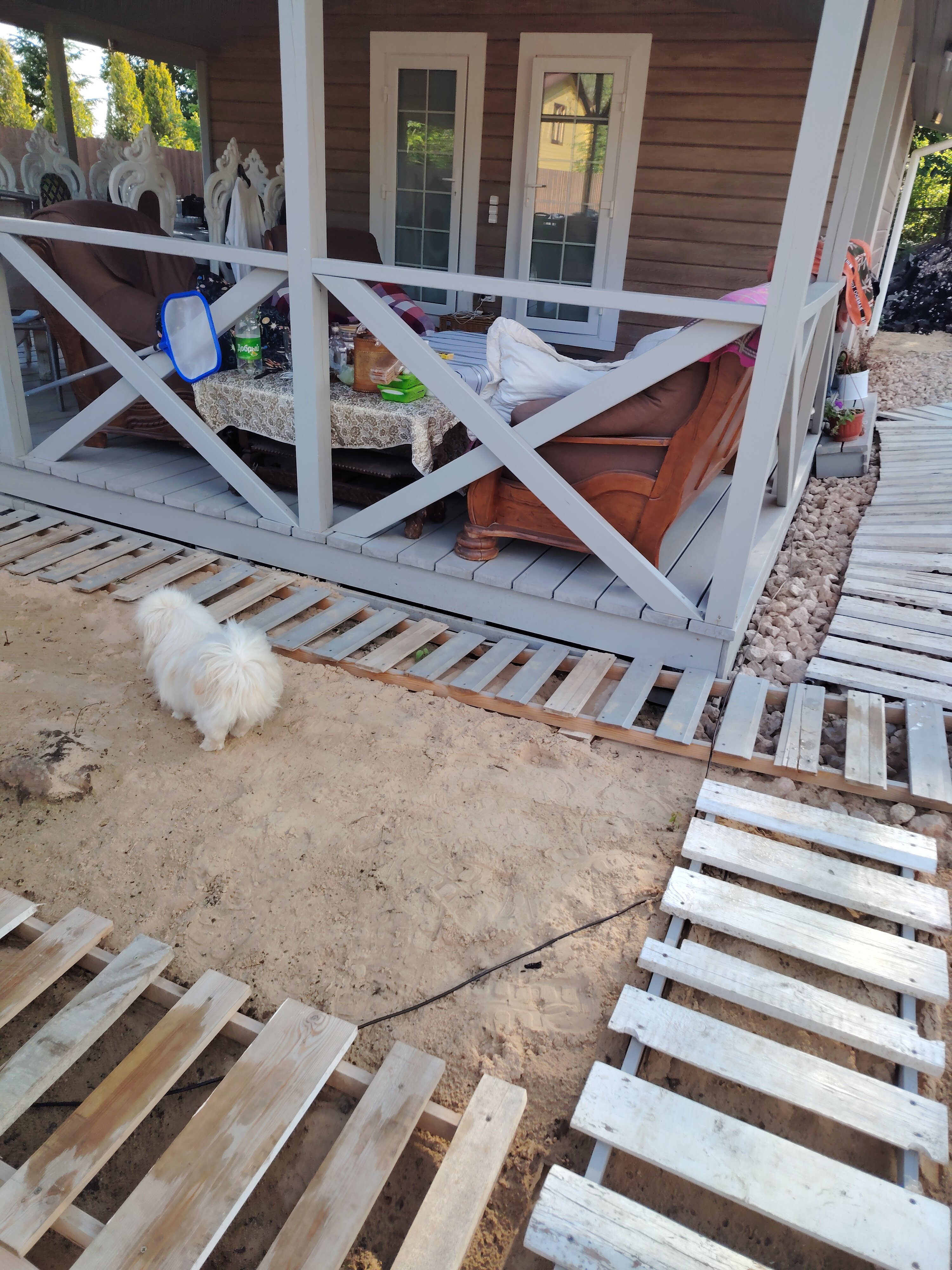 Фото Щеголиха