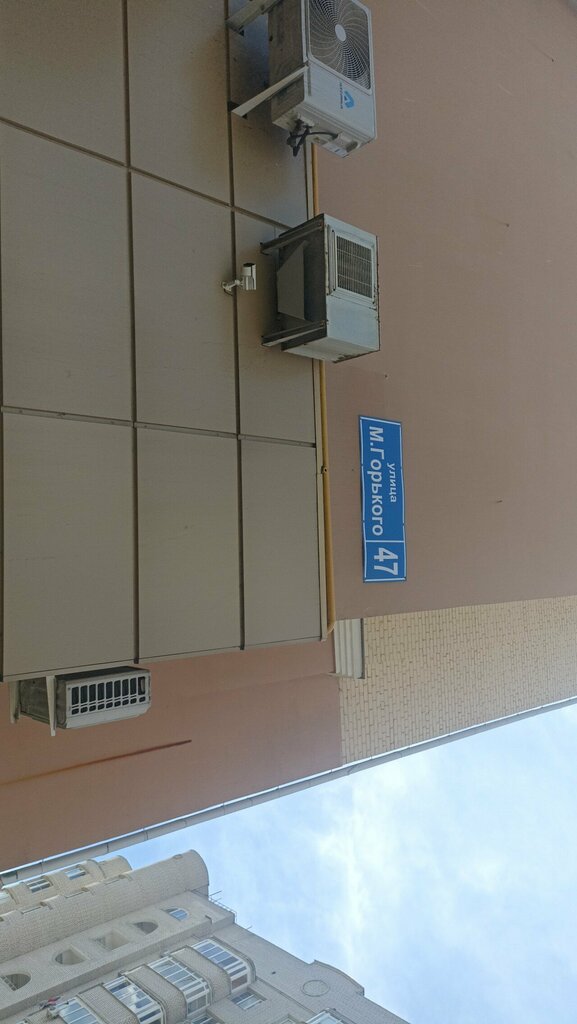 Egg and poultry meat Куриное яйцо, Orel, photo