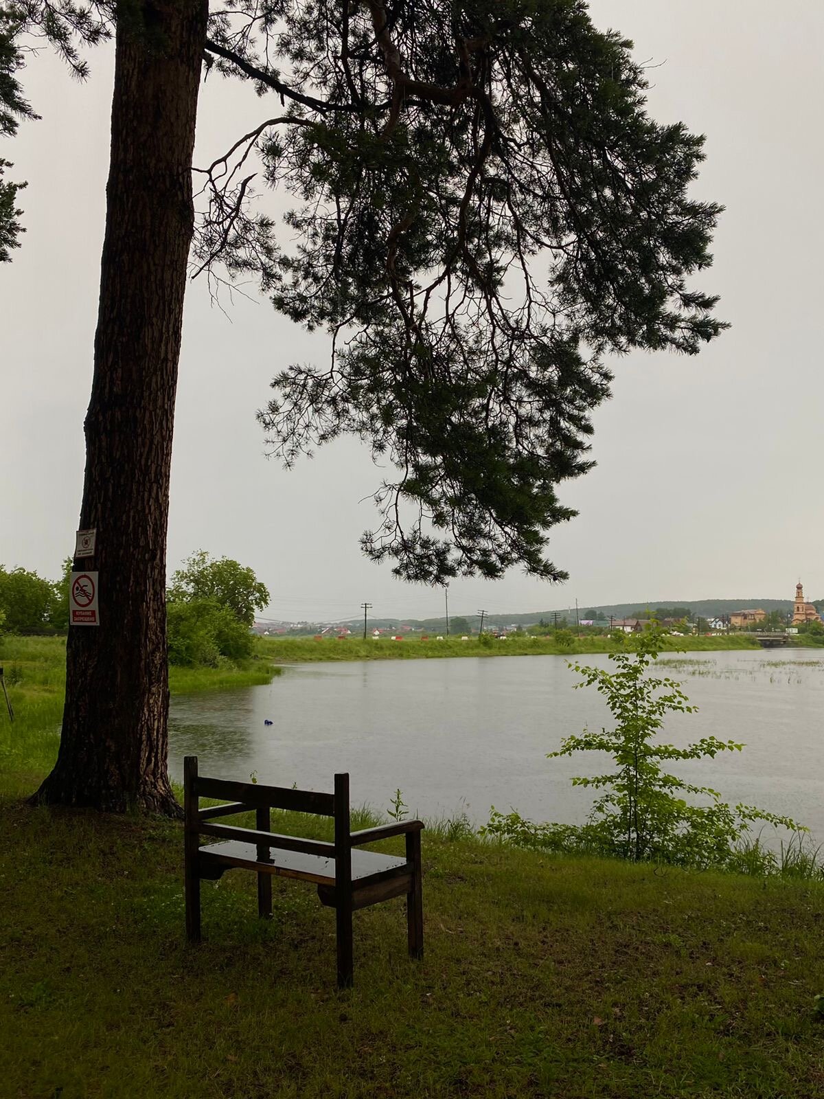 Фото Дача в соснах