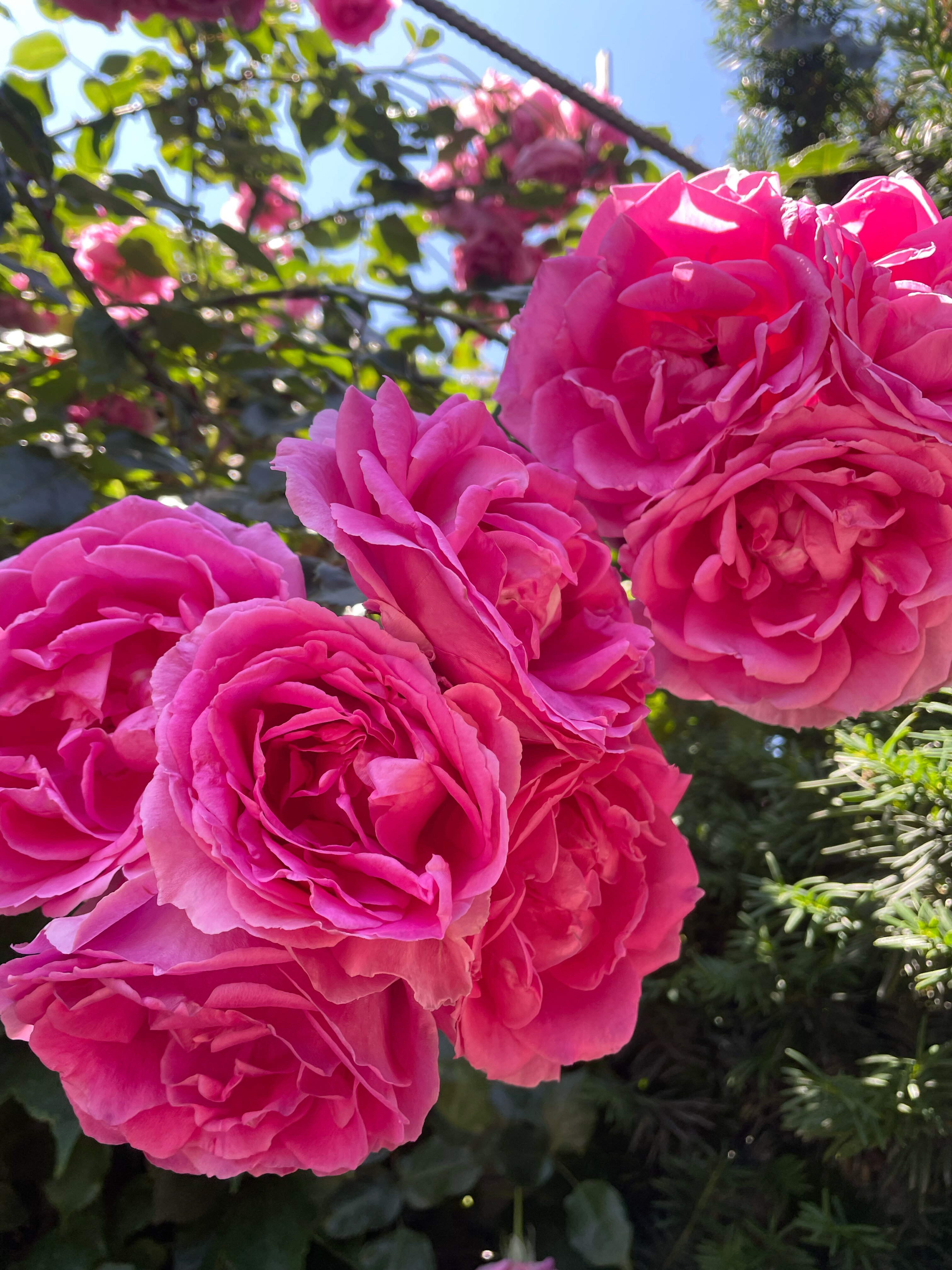 Фото Уютный Коттедж