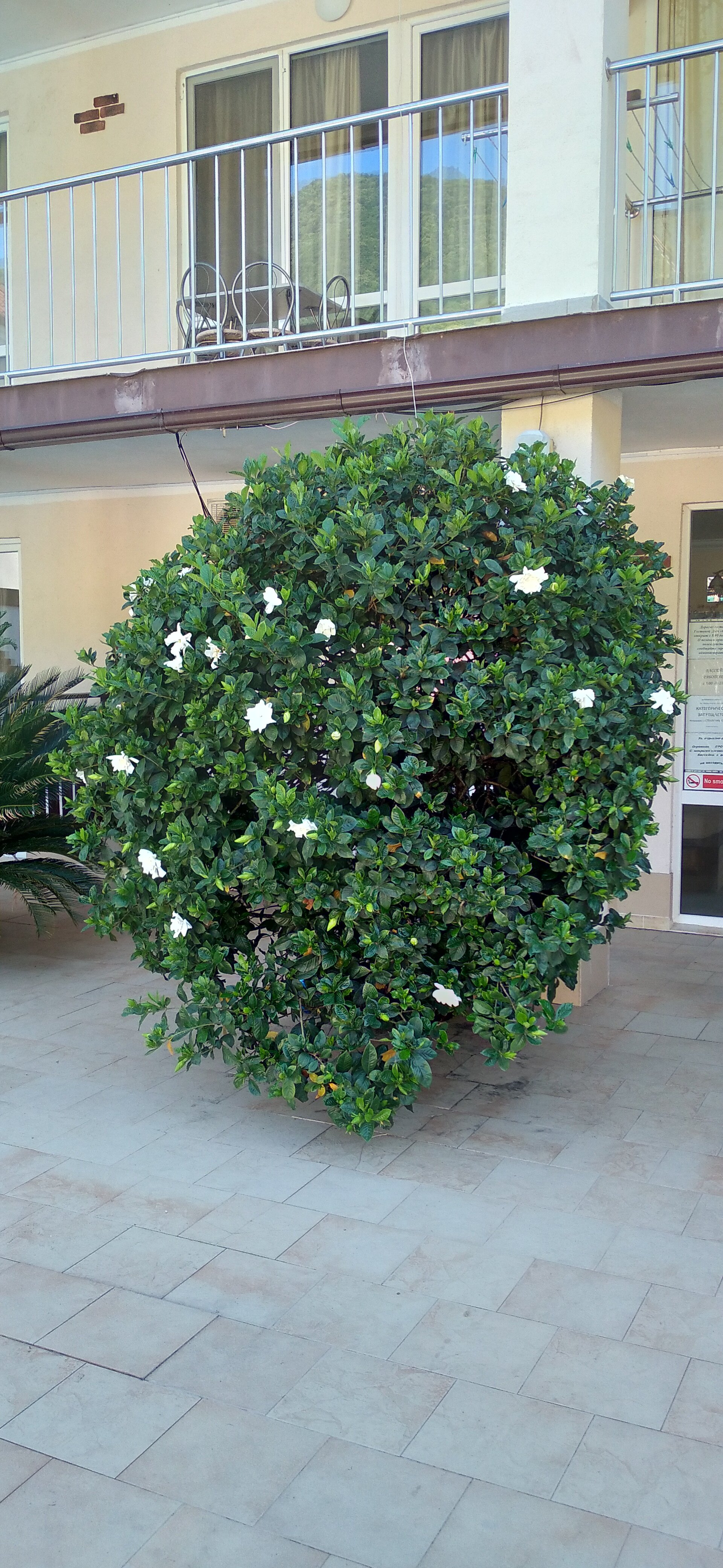 Фото Сказка