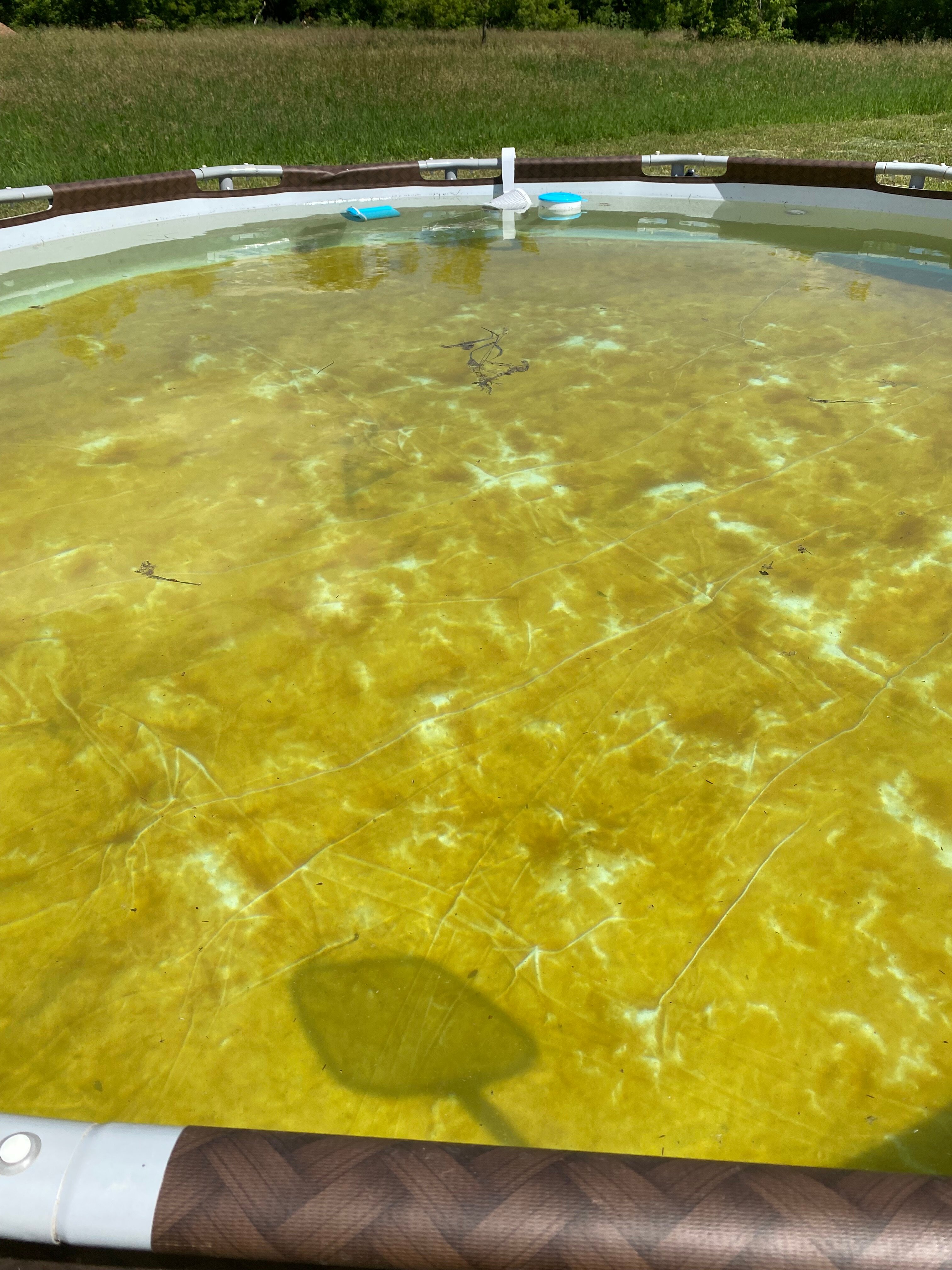 Фото В кругу друзей