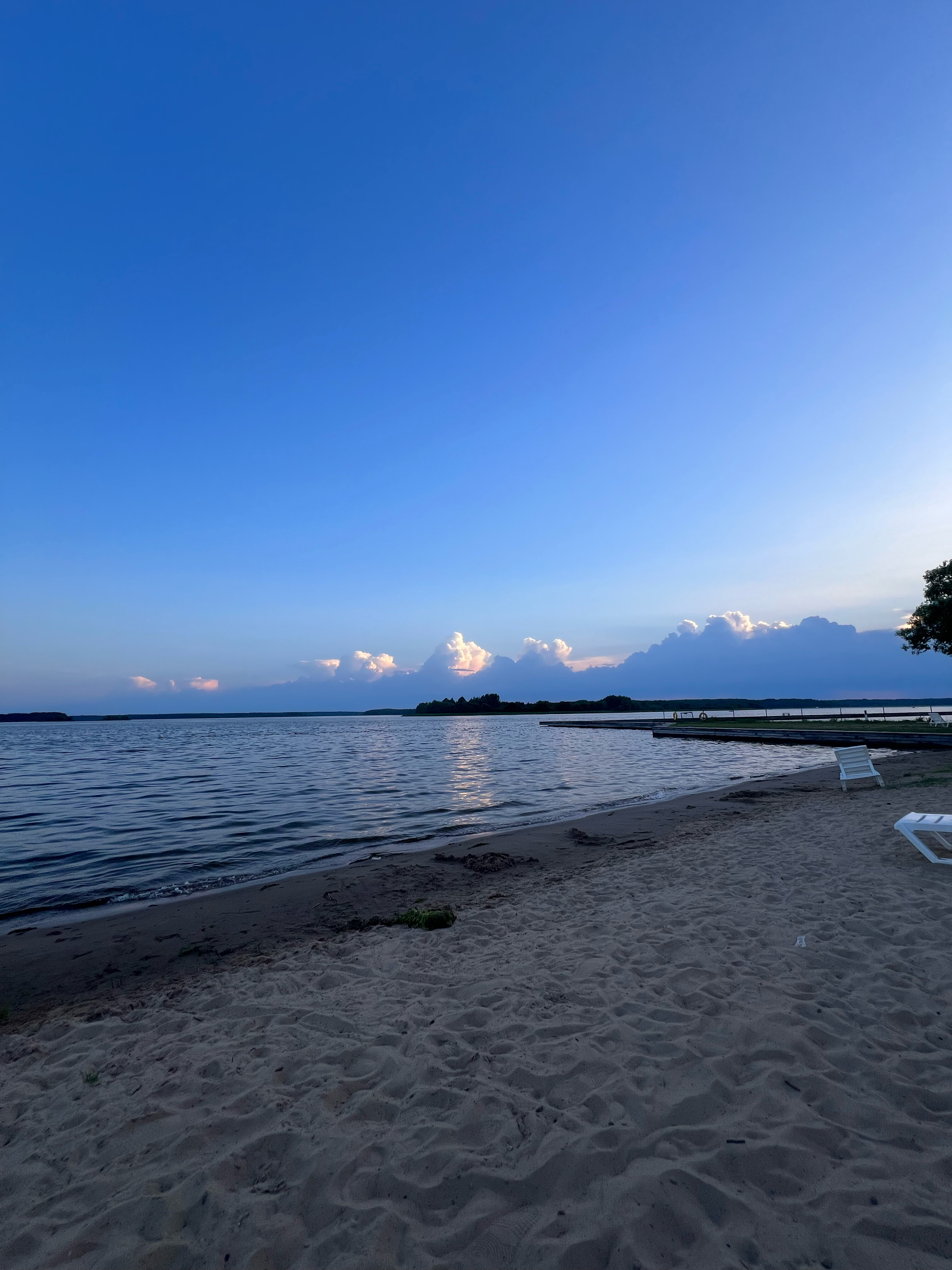 Фото Веточка