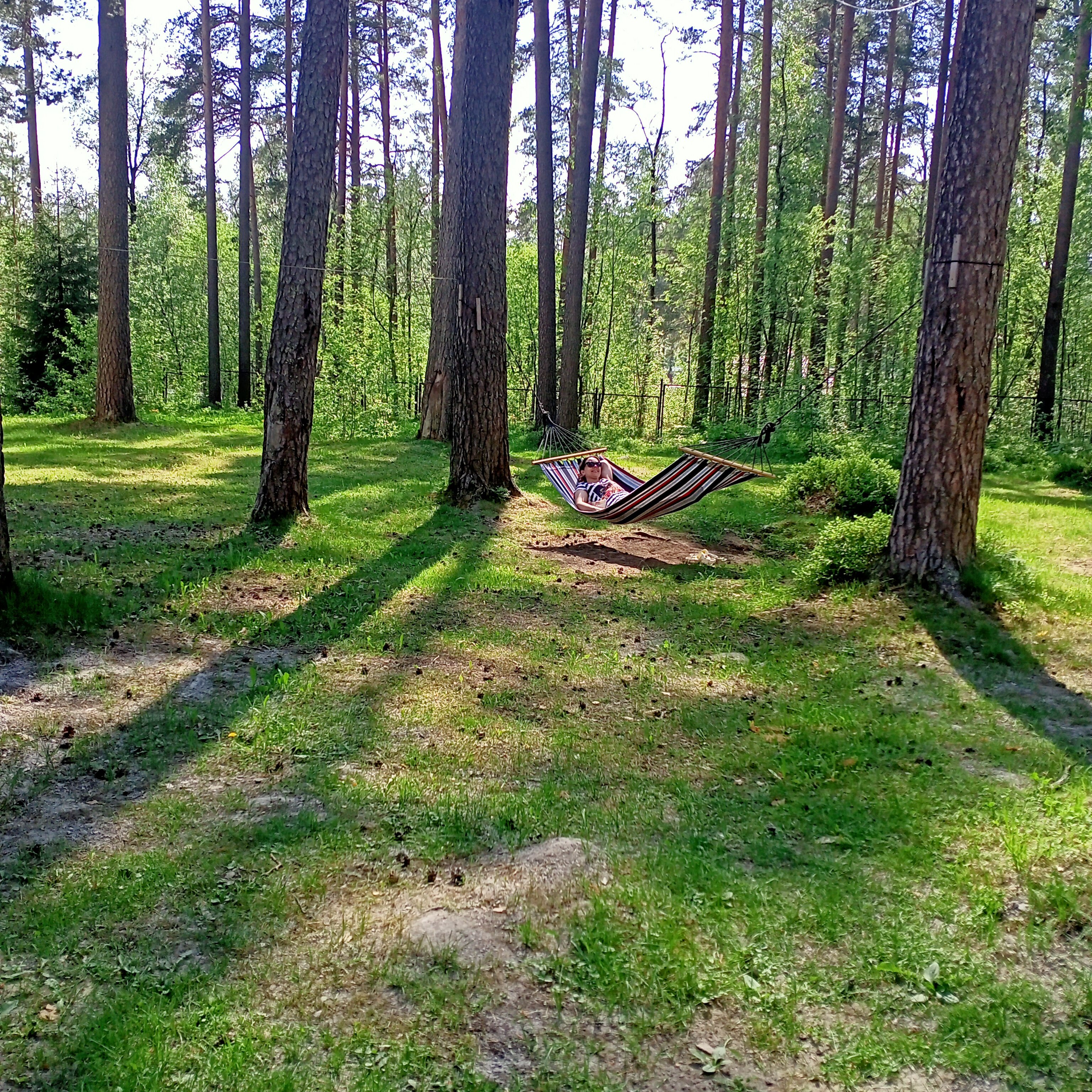 Фото Мичуринский дворик