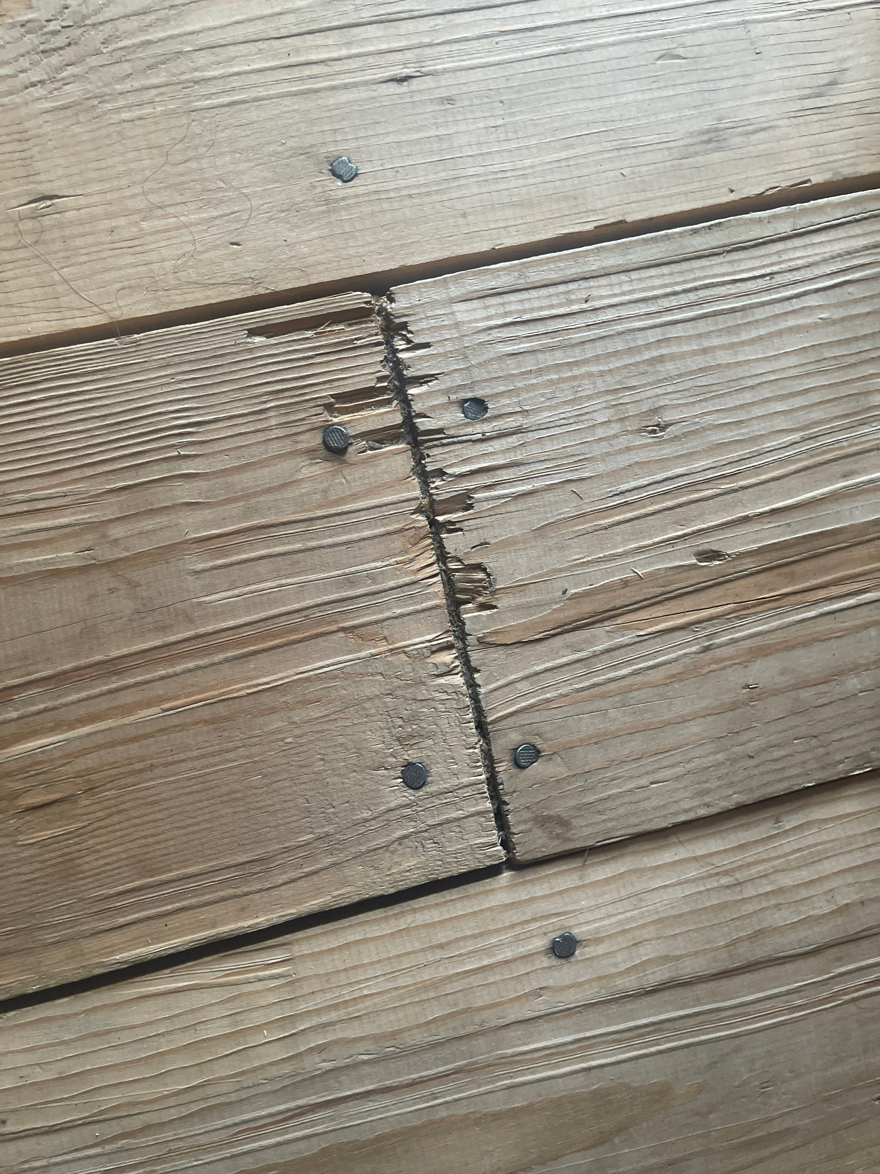 Фото Сила Сибири Акташ