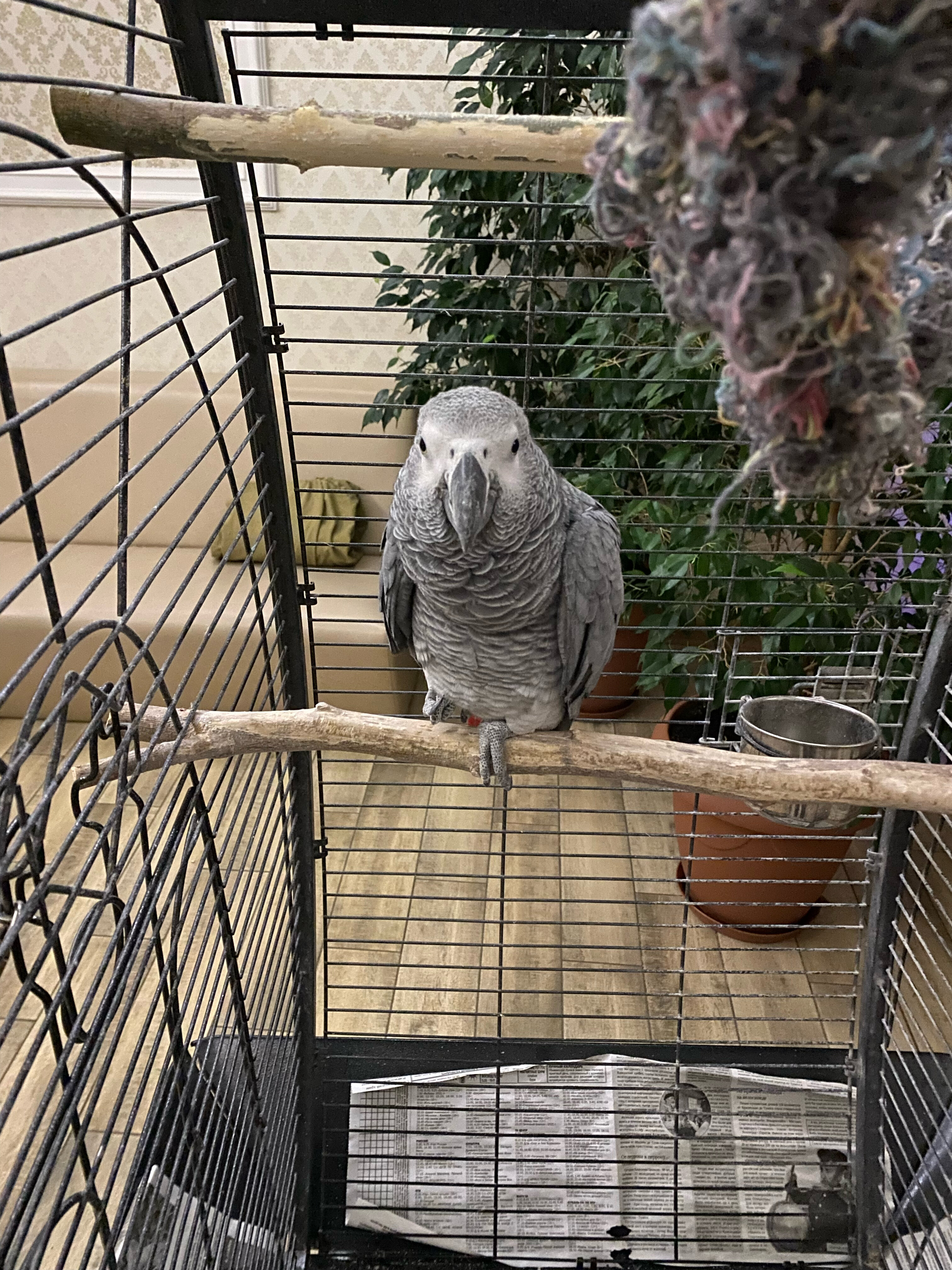 Фото НекрасовЪ