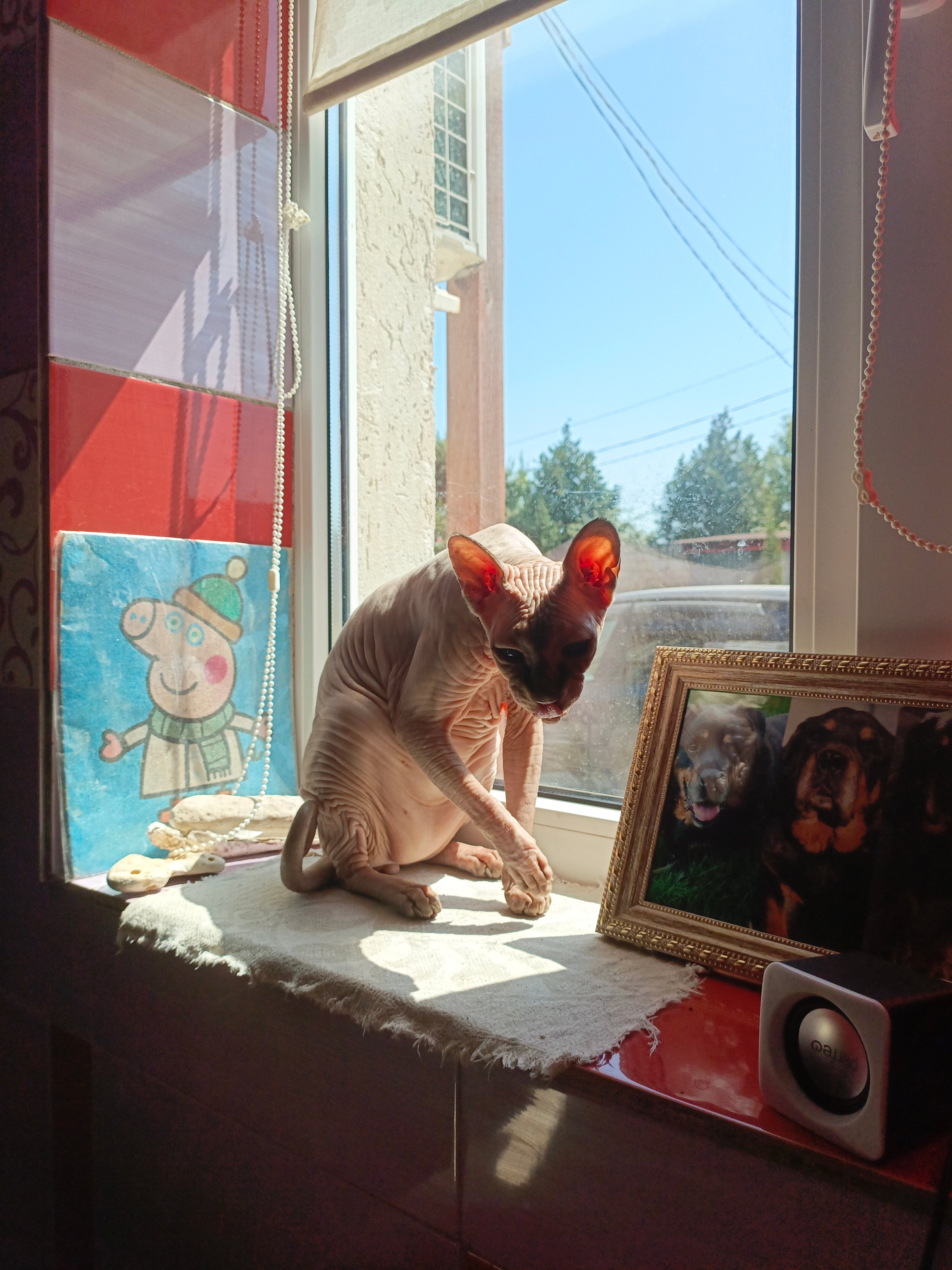 Фото Смайлик