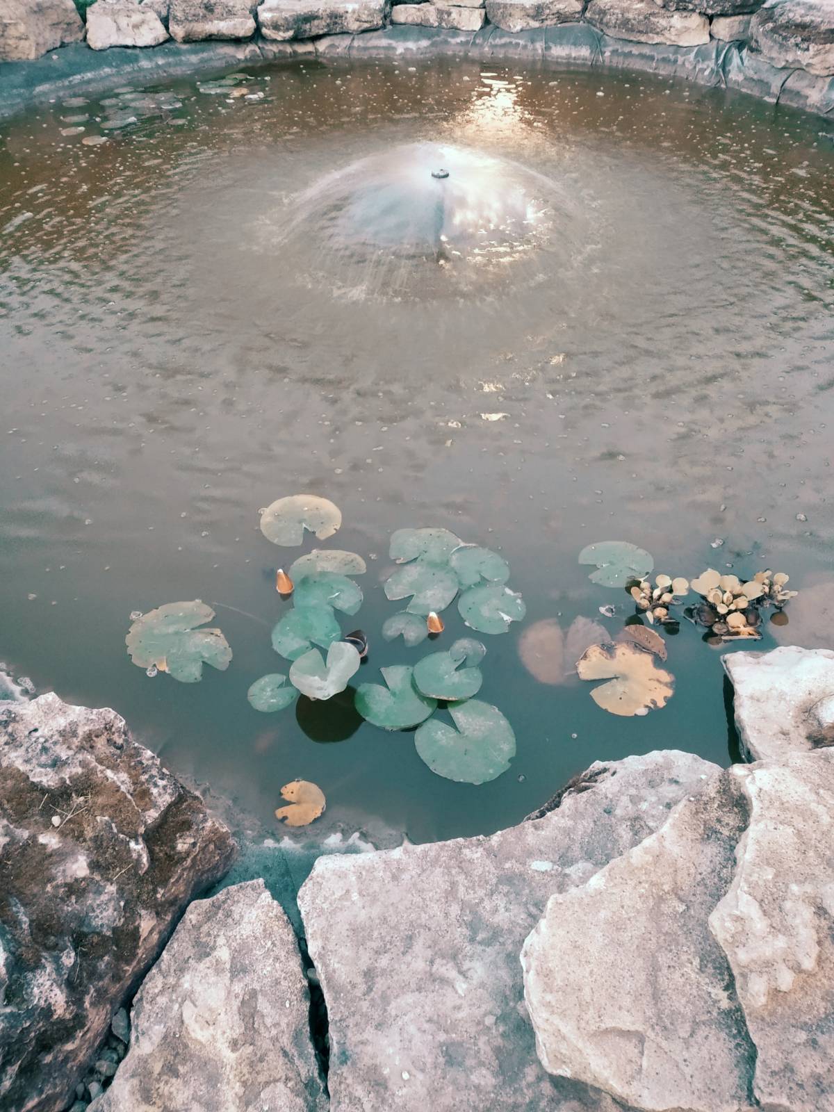 Фото Светлана