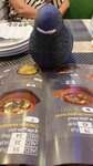 Osama Sweets & Restaurant (​74, Al Zaher street​, Rumaila 2, Rumaila, Ajman ), fast food