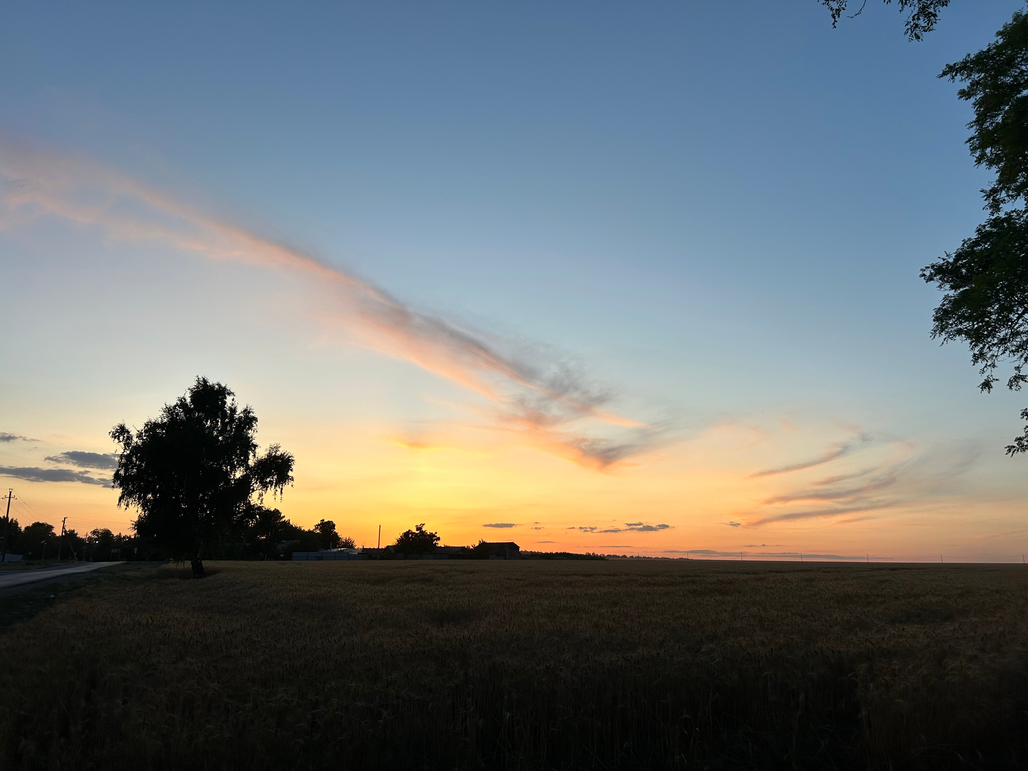 Фото Коралловая