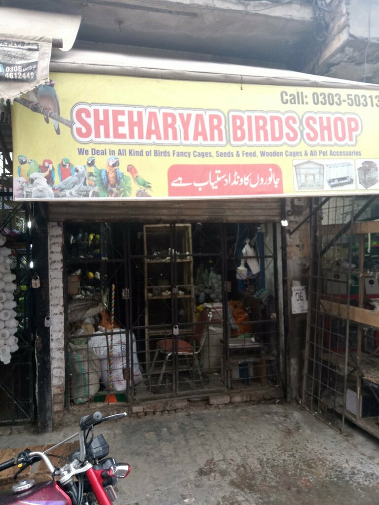 Egg and poultry meat Shehriyar Birds shop, Lahore, photo
