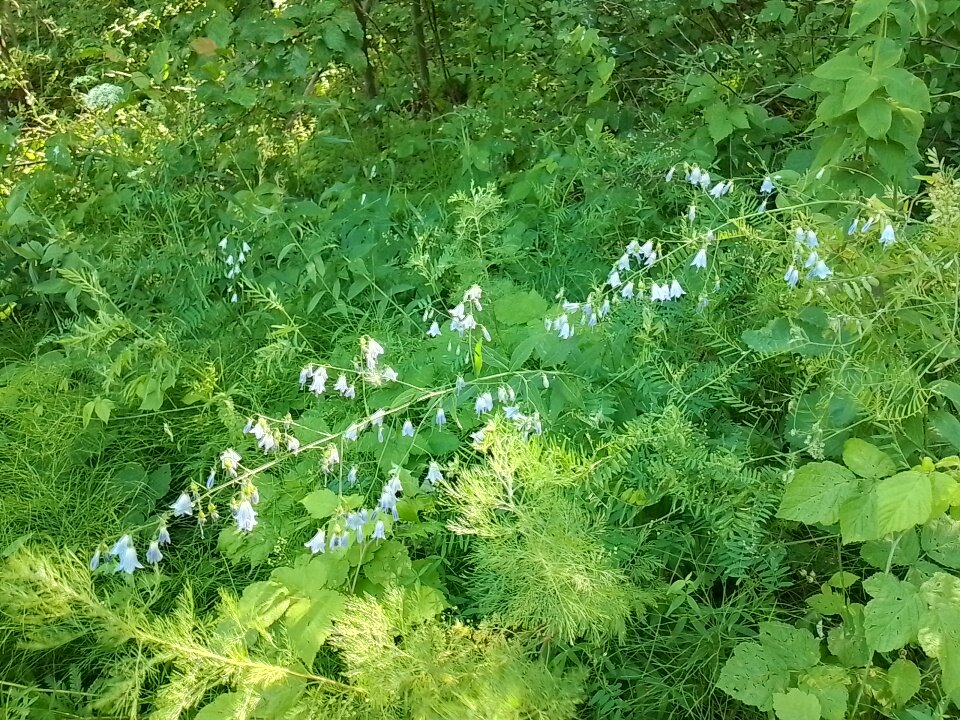 Фото Рассвет