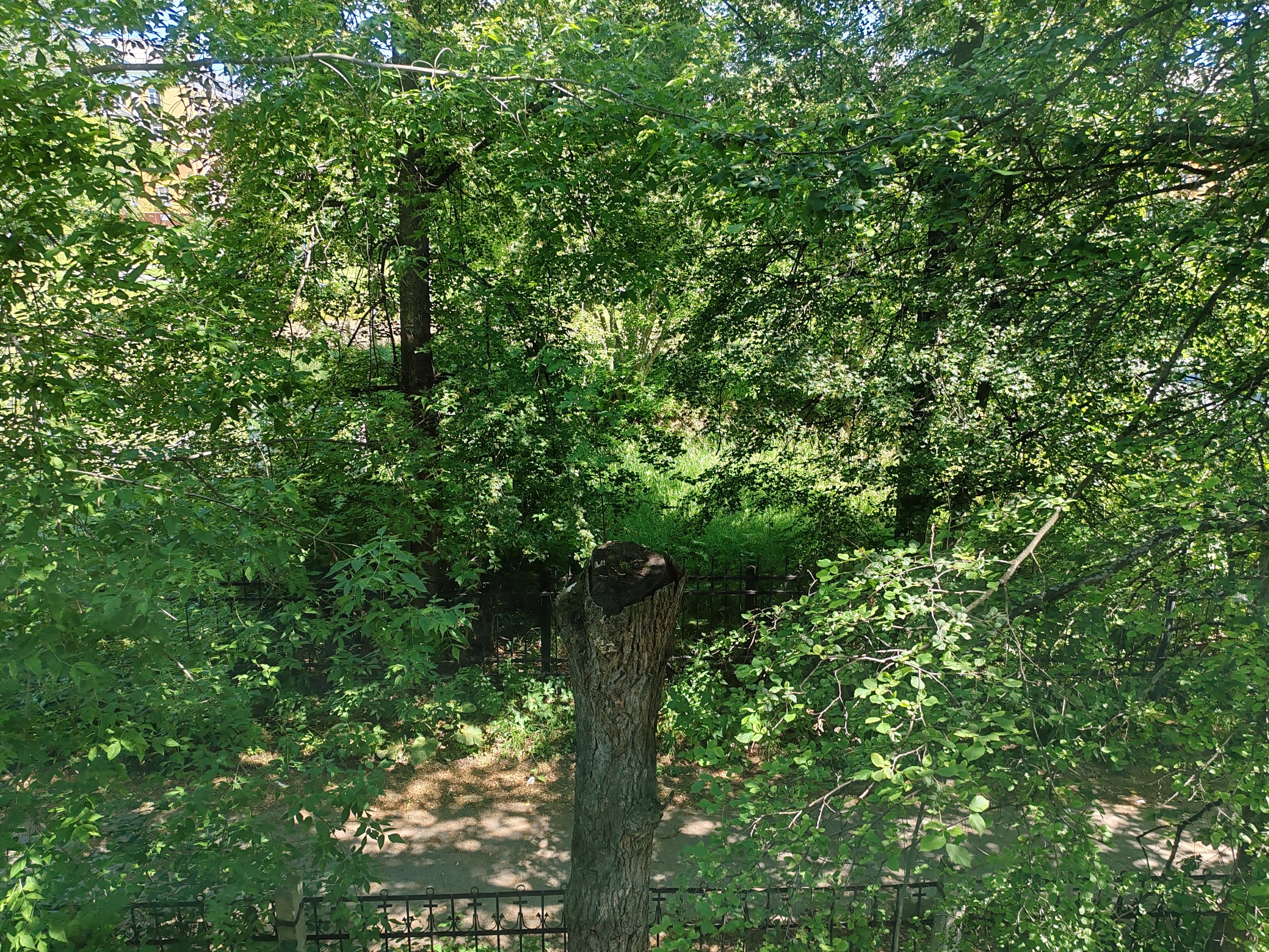 Фото Апарт Отель 24