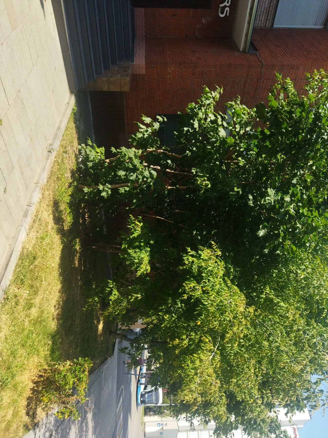 Фото Все медведи