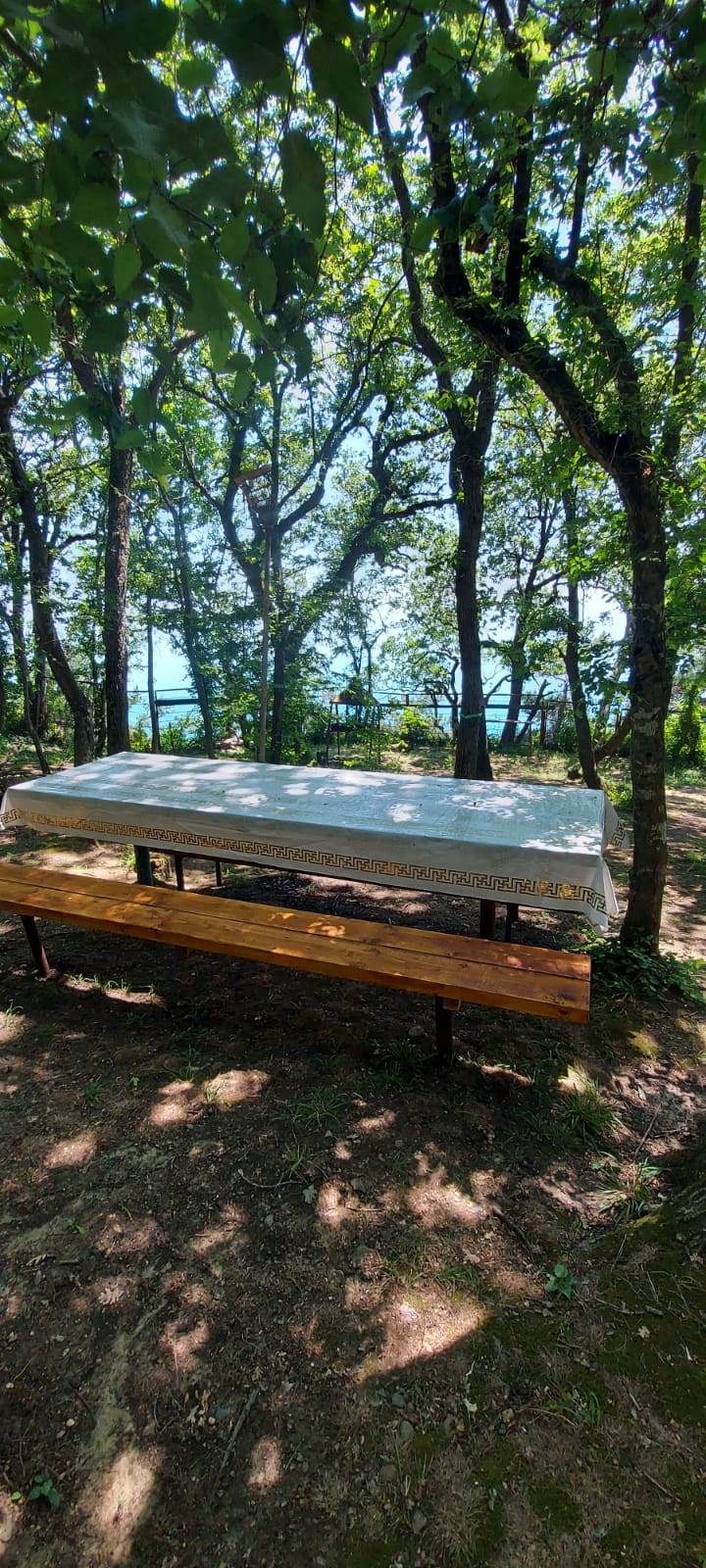 Фото Эдельвейс