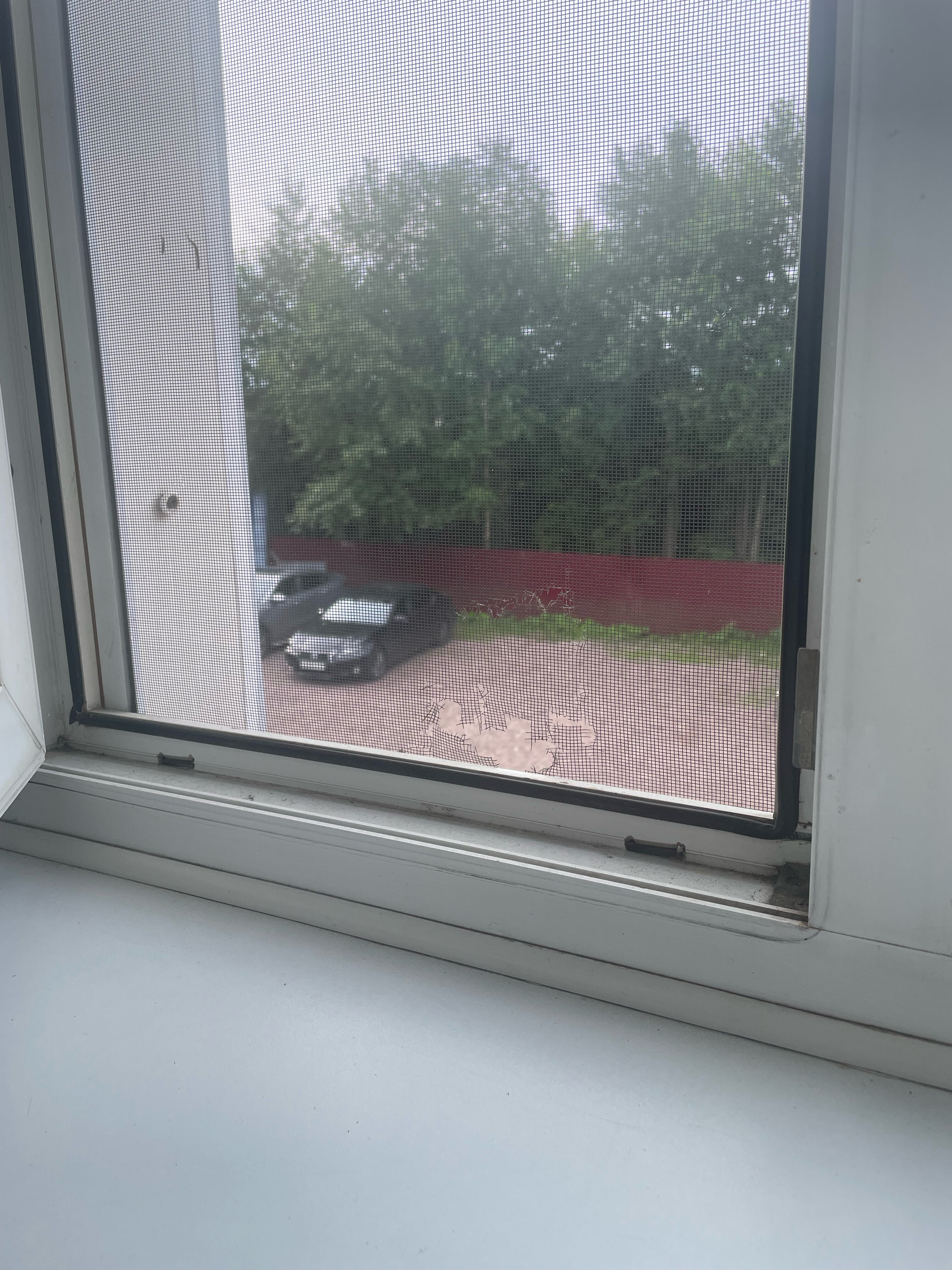 Фото Тихий уголок