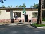 Сосновый бор (Uchitelskaya ulitsa, 49), administración
