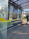 Боровая улица (St. Petersburg, Krasnoye Selo, Lenina Avenue), public transport stop