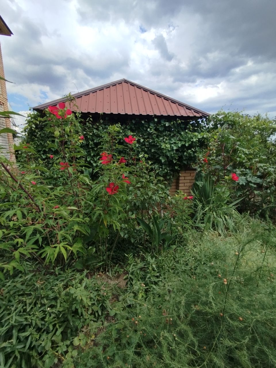 Фото Солнечная Долина